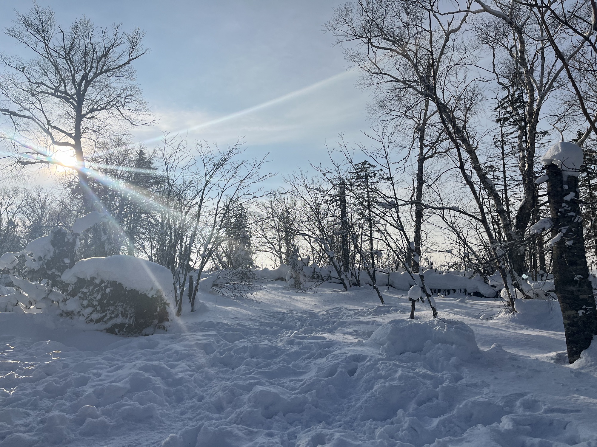 雪乡雾凇十里冰雪画廊旅行图片 2