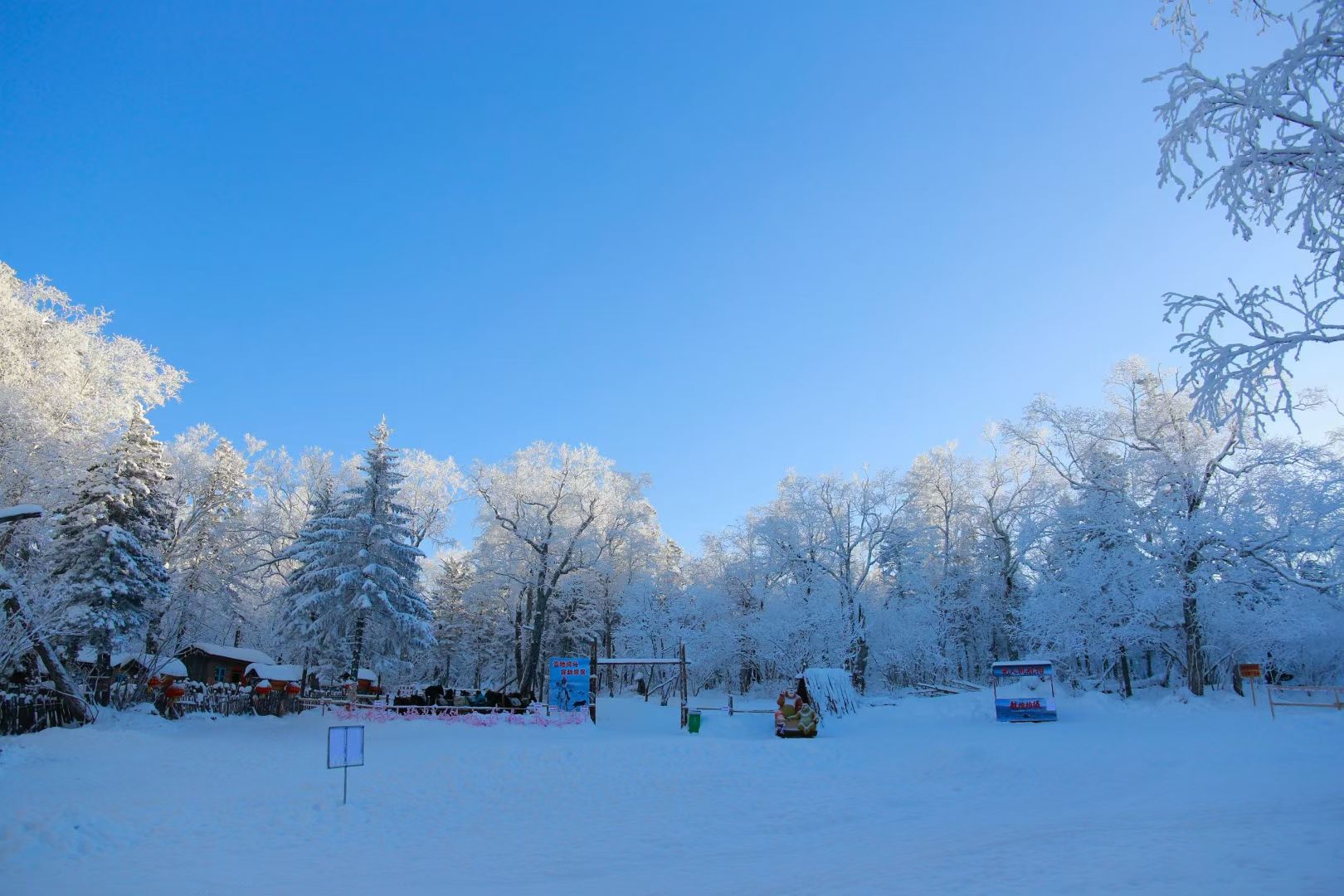 雪乡雾凇十里冰雪画廊旅行图片 2