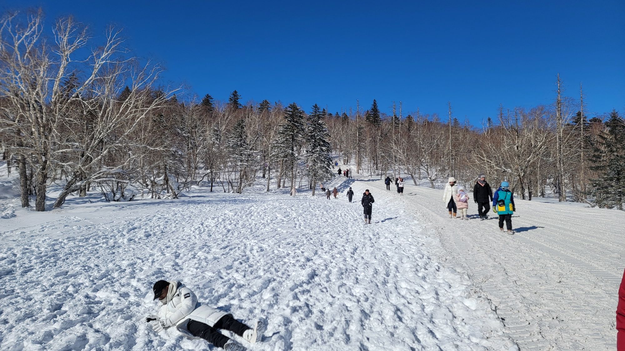 雪乡雾凇十里冰雪画廊旅行图片 1