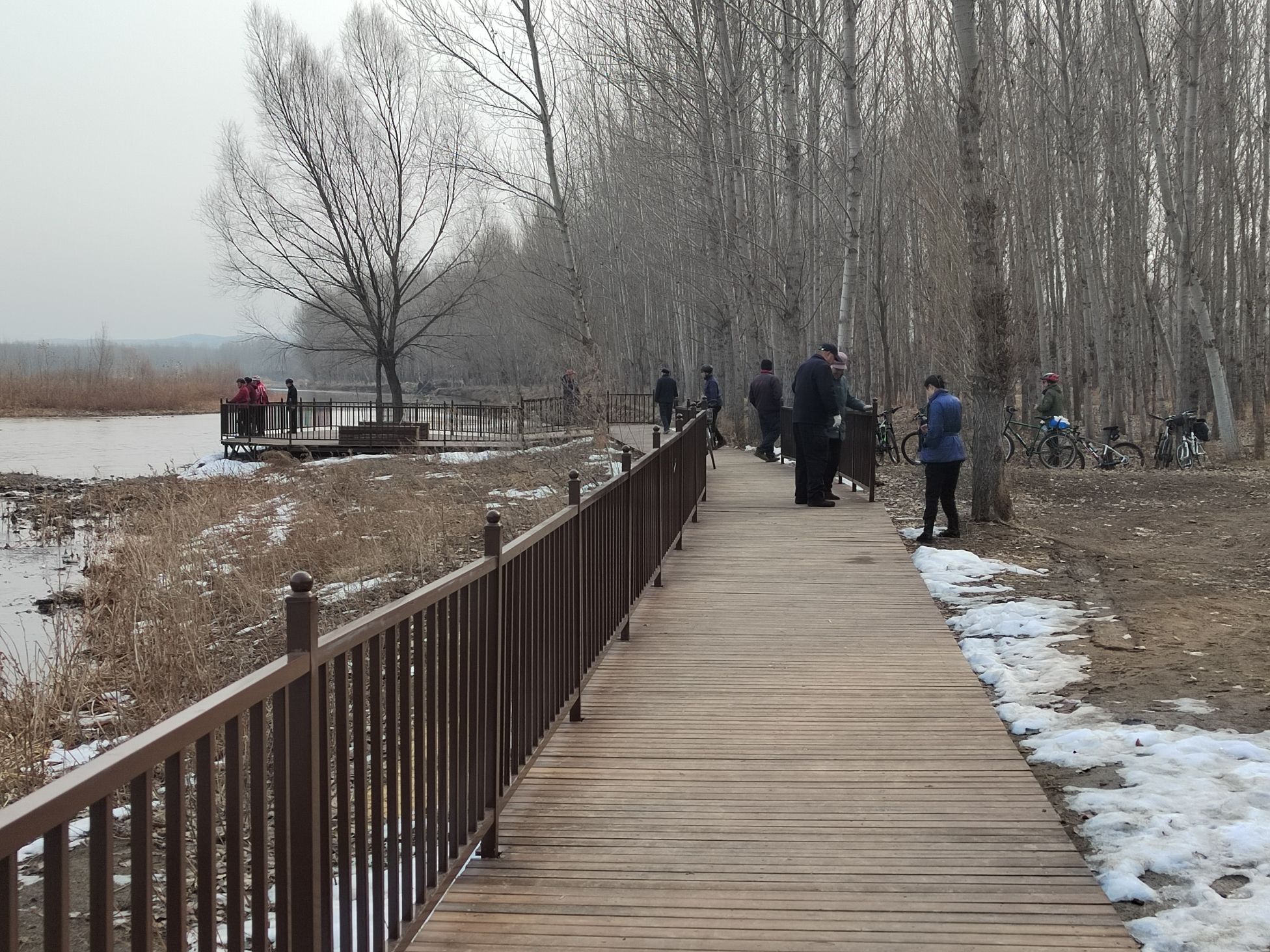牤牛营天鹅驿站旅行图片 1
