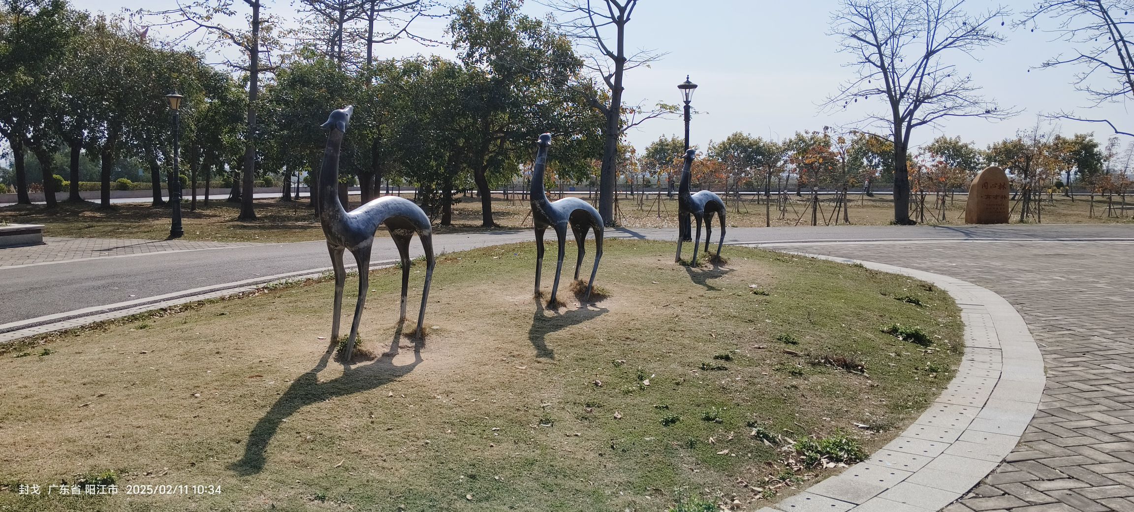 江湾公园旅行图片 1