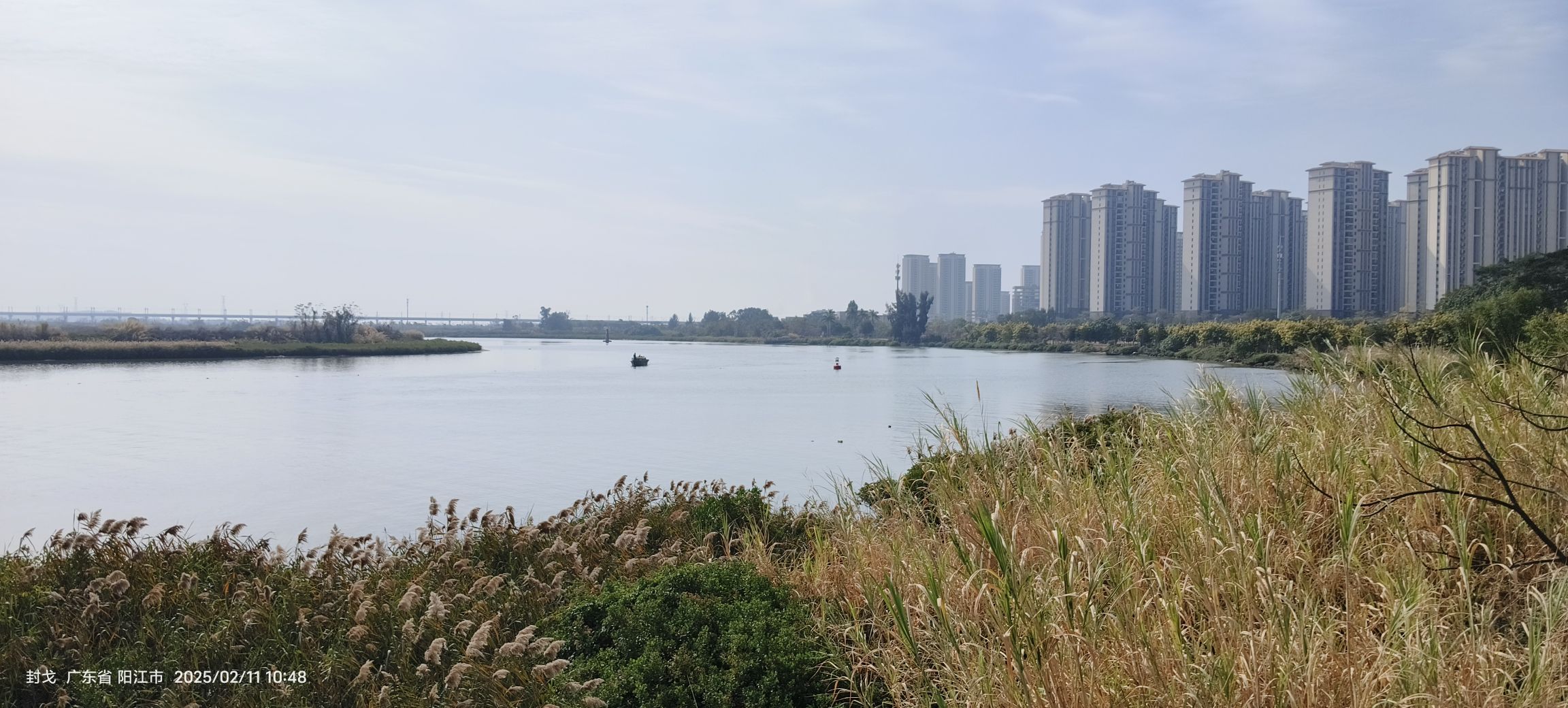 江湾公园旅行图片 3