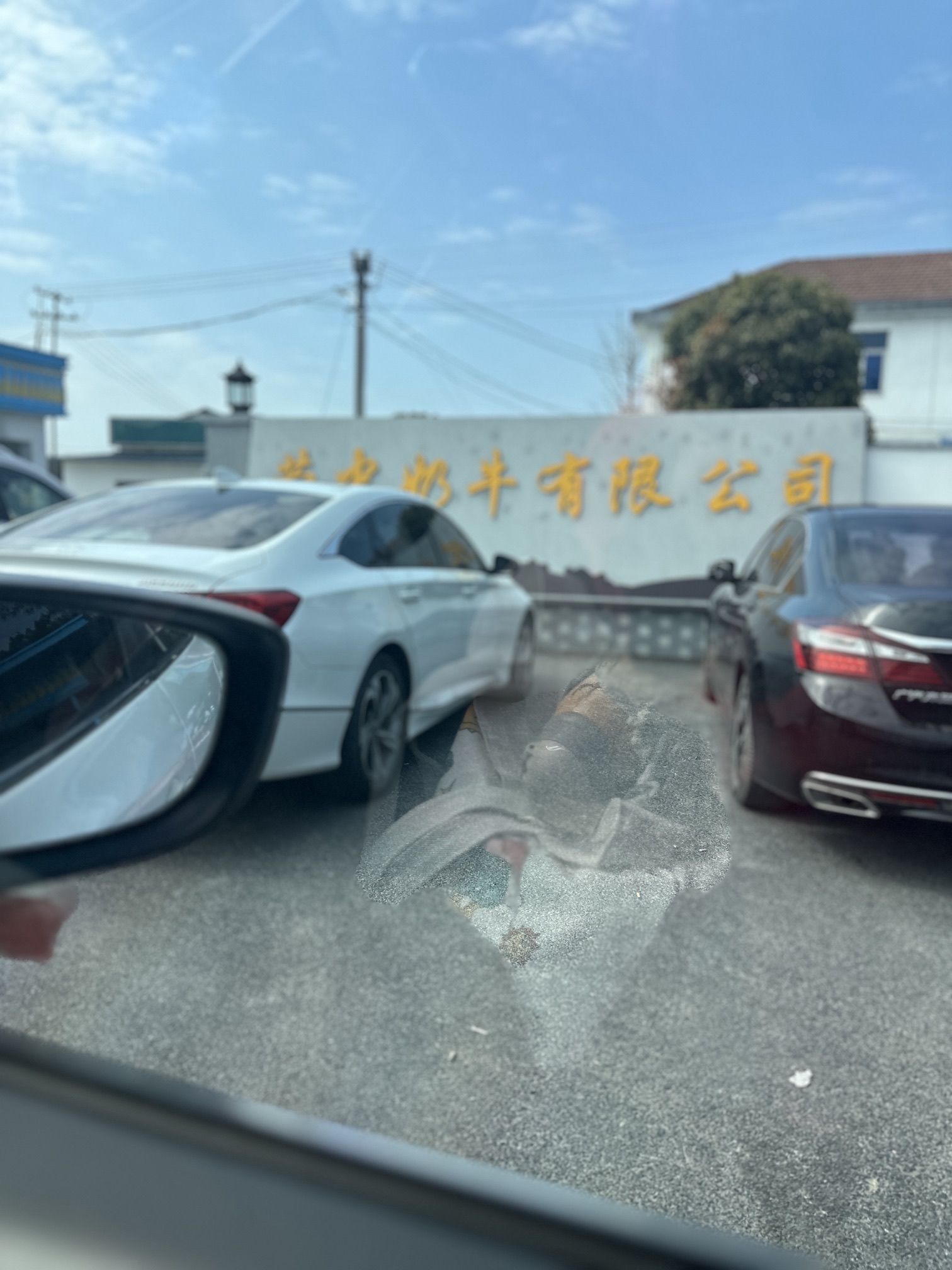 牛花花小镇旅行图片 3
