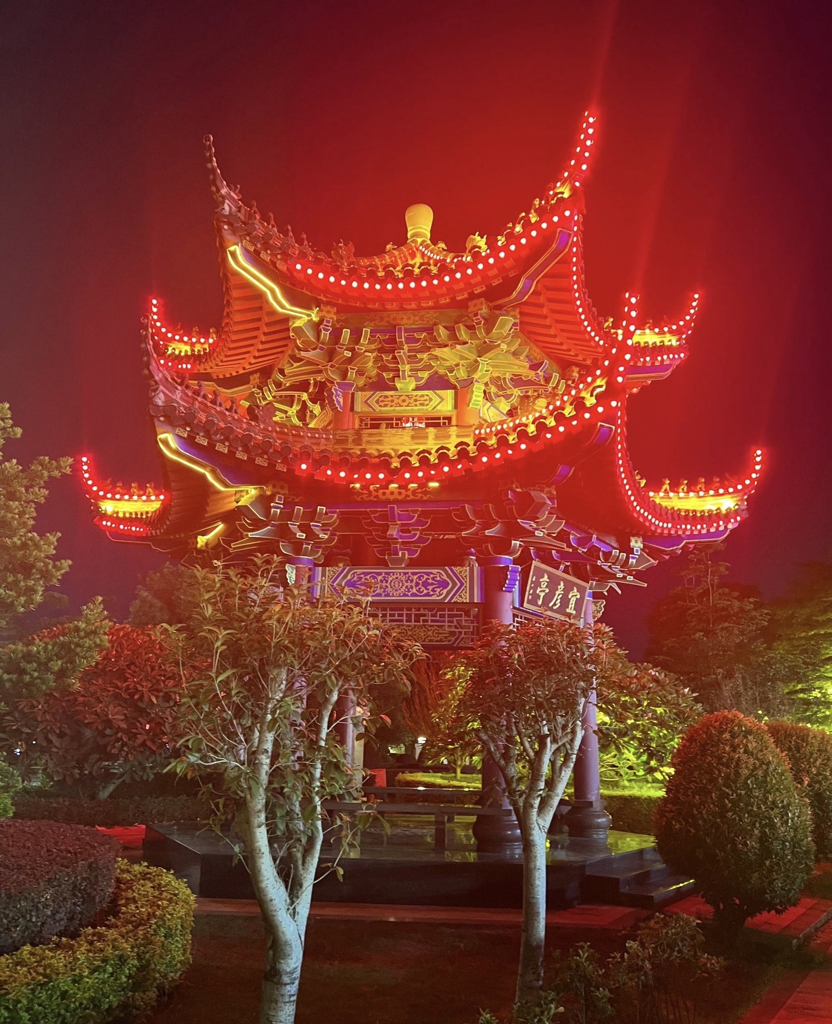 东升湿地公园旅行图片 2