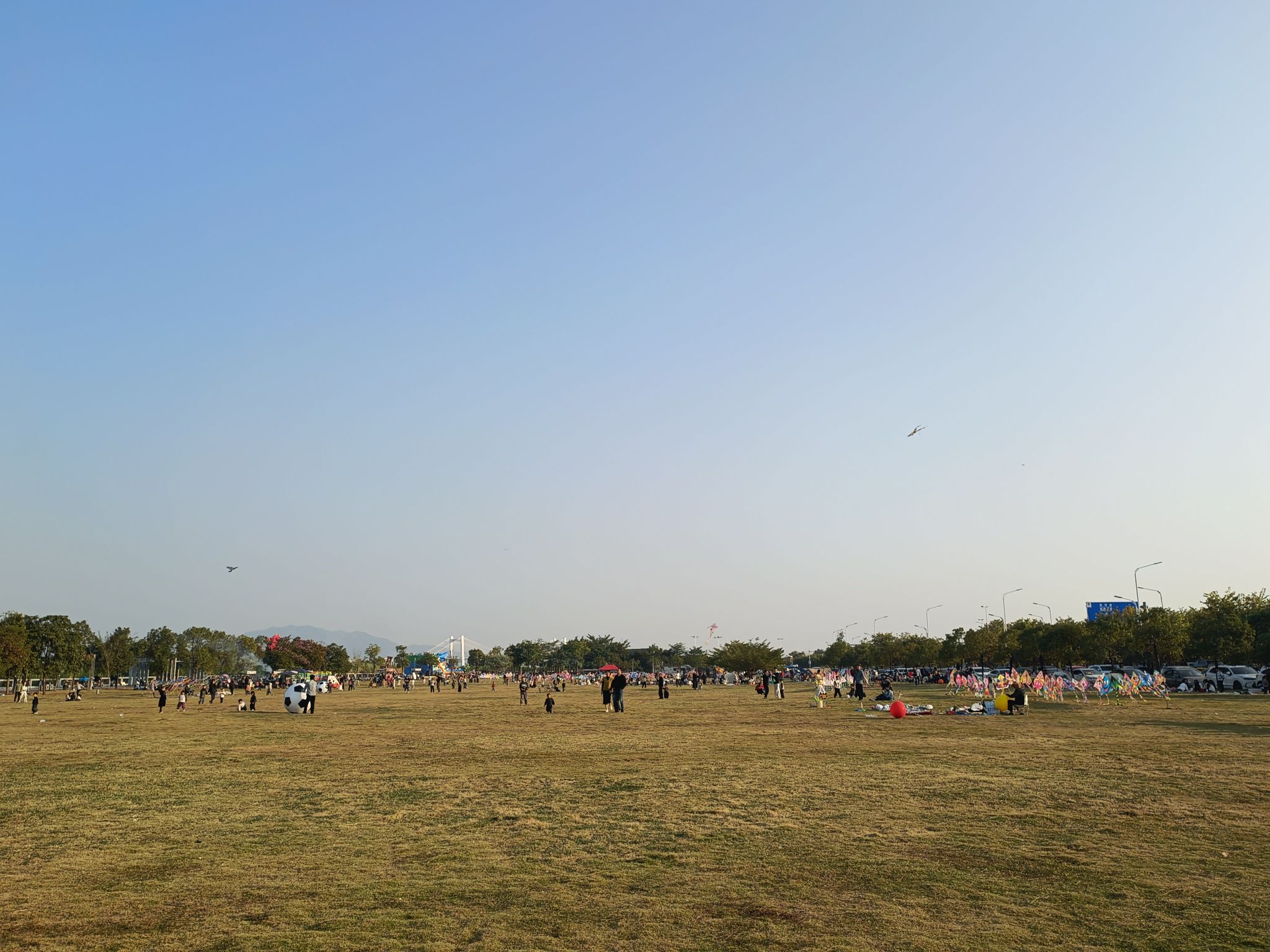 东升湿地公园旅行图片 1