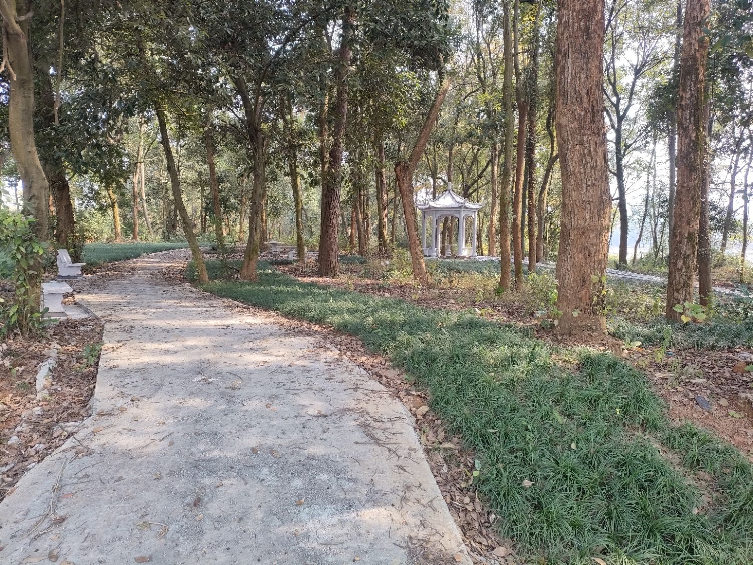 后山休闲园旅行图片 3