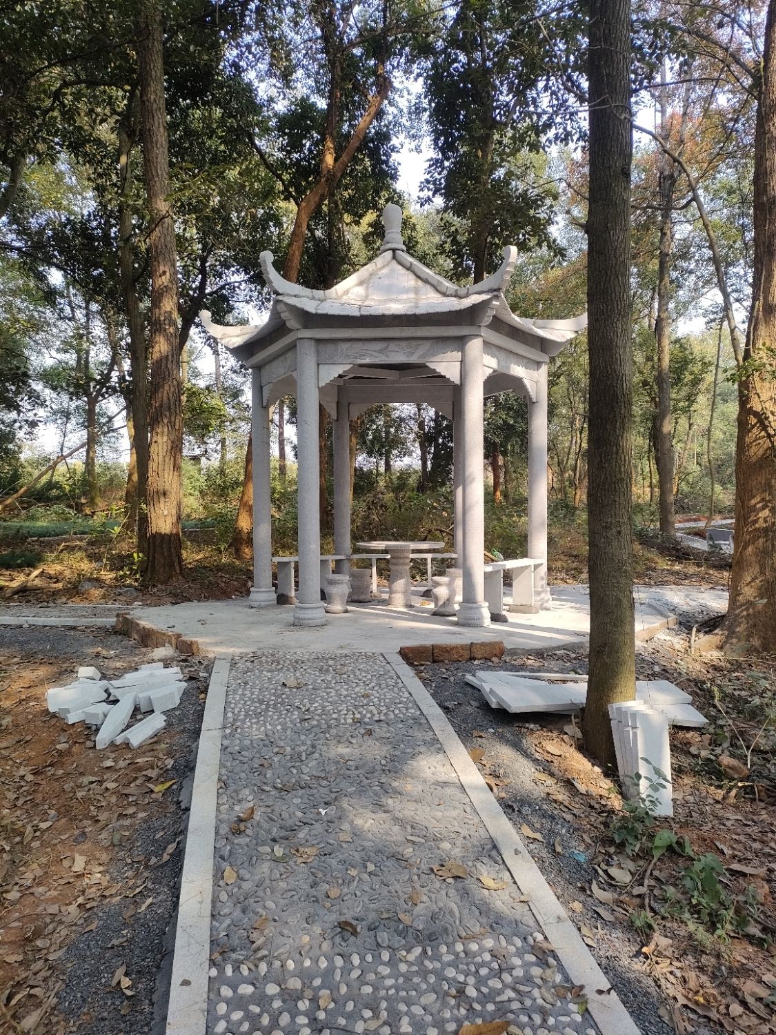 后山休闲园旅行图片 1