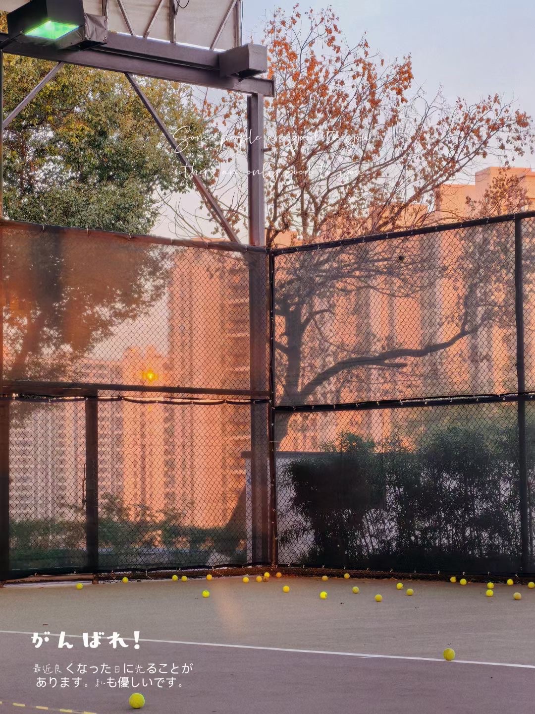 场地封面-临江花园网球场