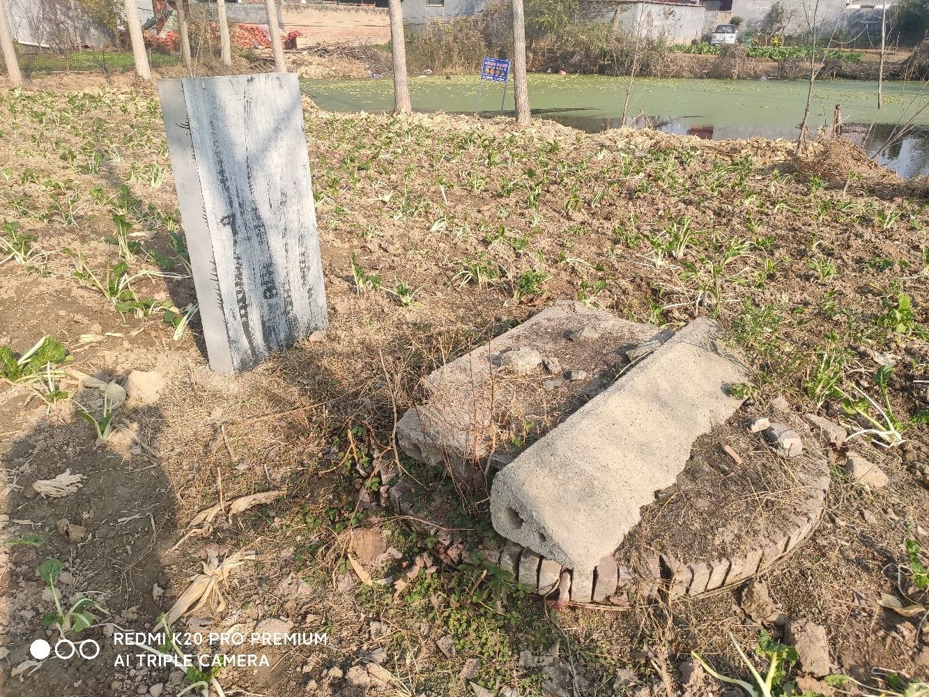 二龙井旅行图片 1