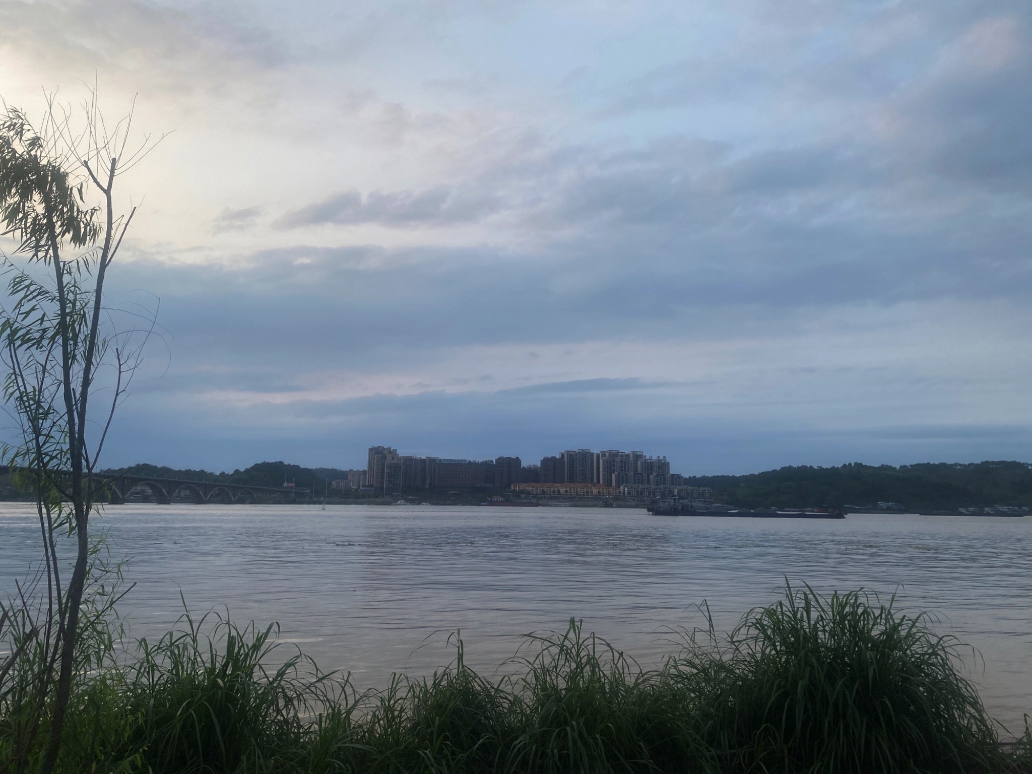 藤县浔江公园旅行图片 1