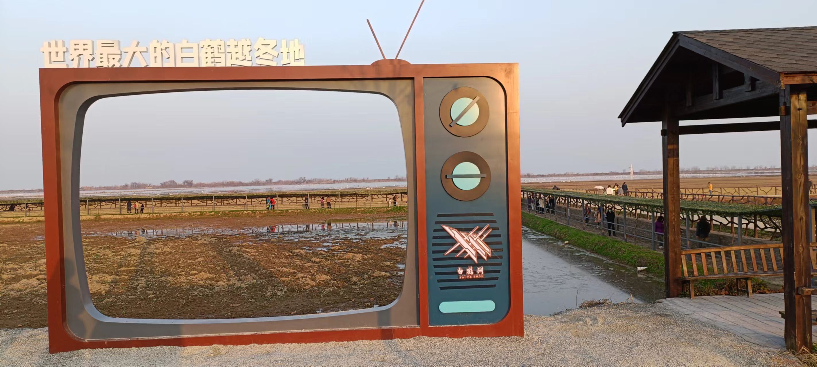 白鹤洲旅行图片 2