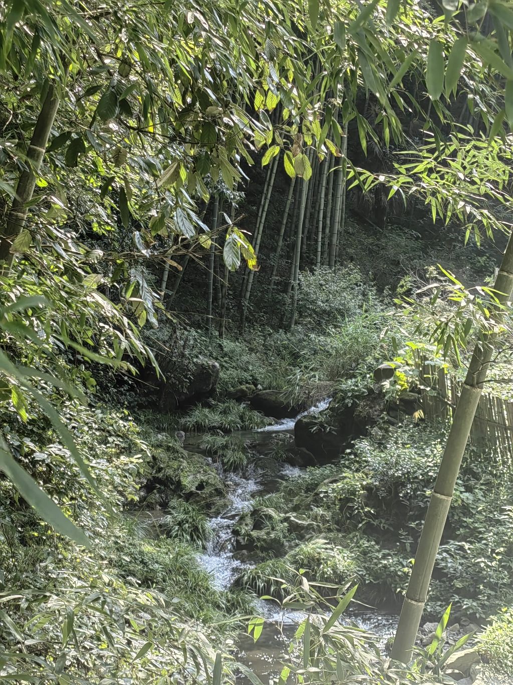 阊·昌江源旅行图片 1