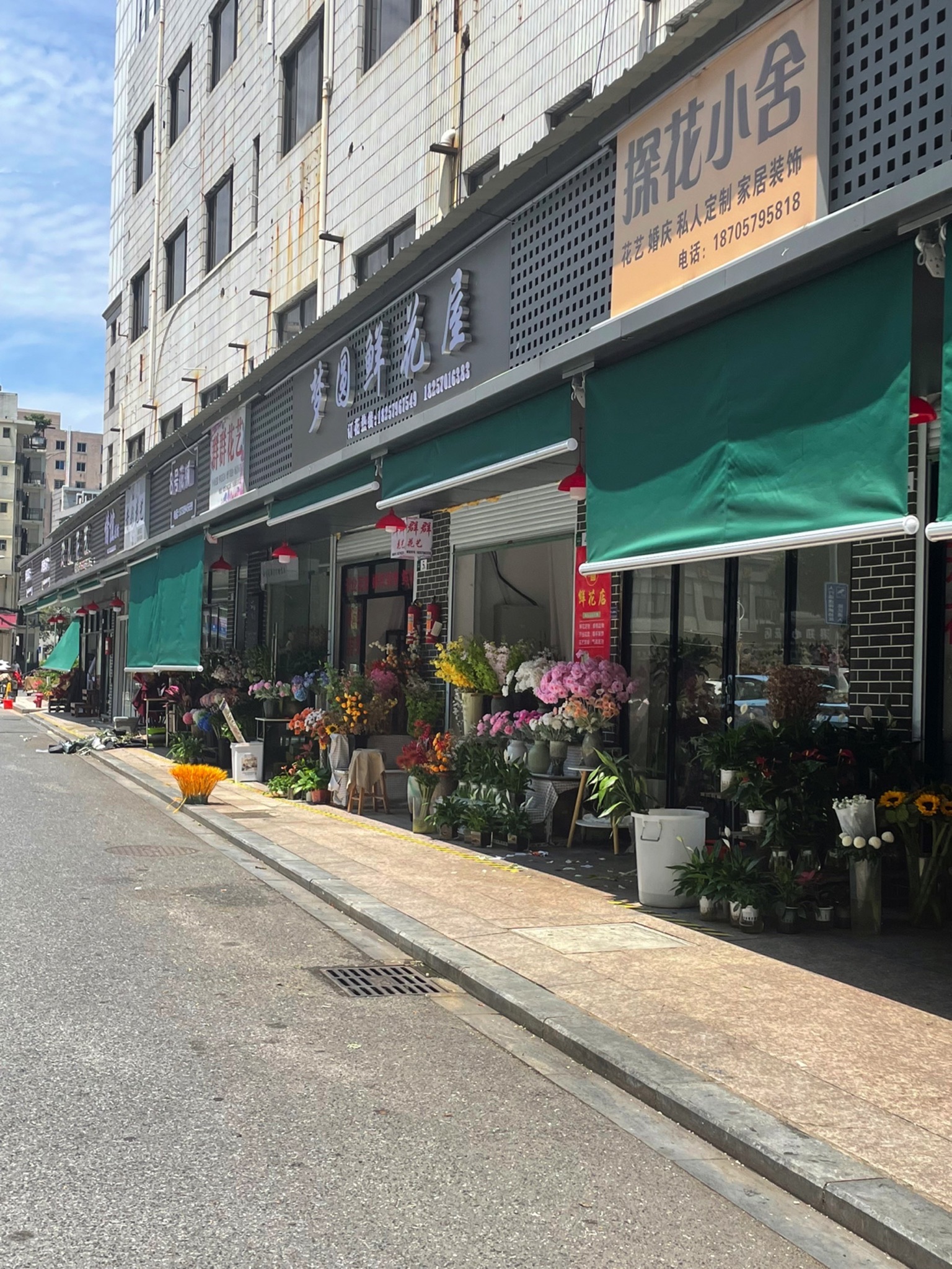 金华花卉市场