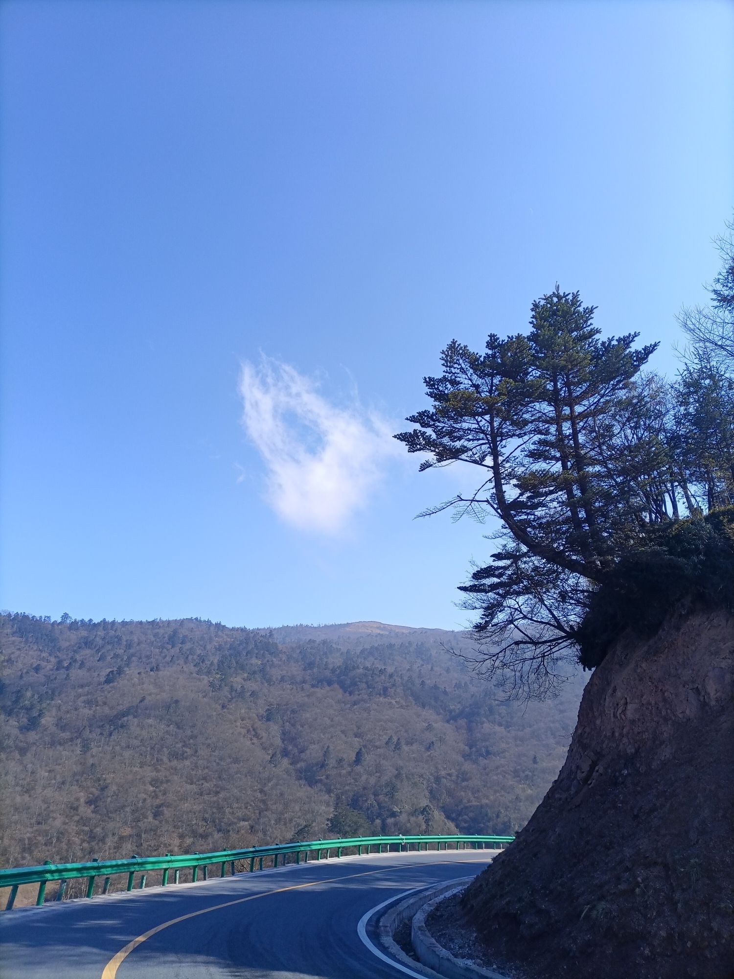 美姑大风顶旅行图片 3