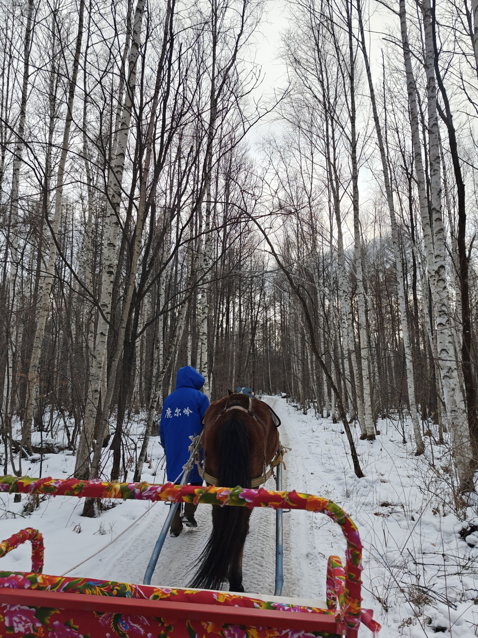 鹿儿岭景区旅行图片 1