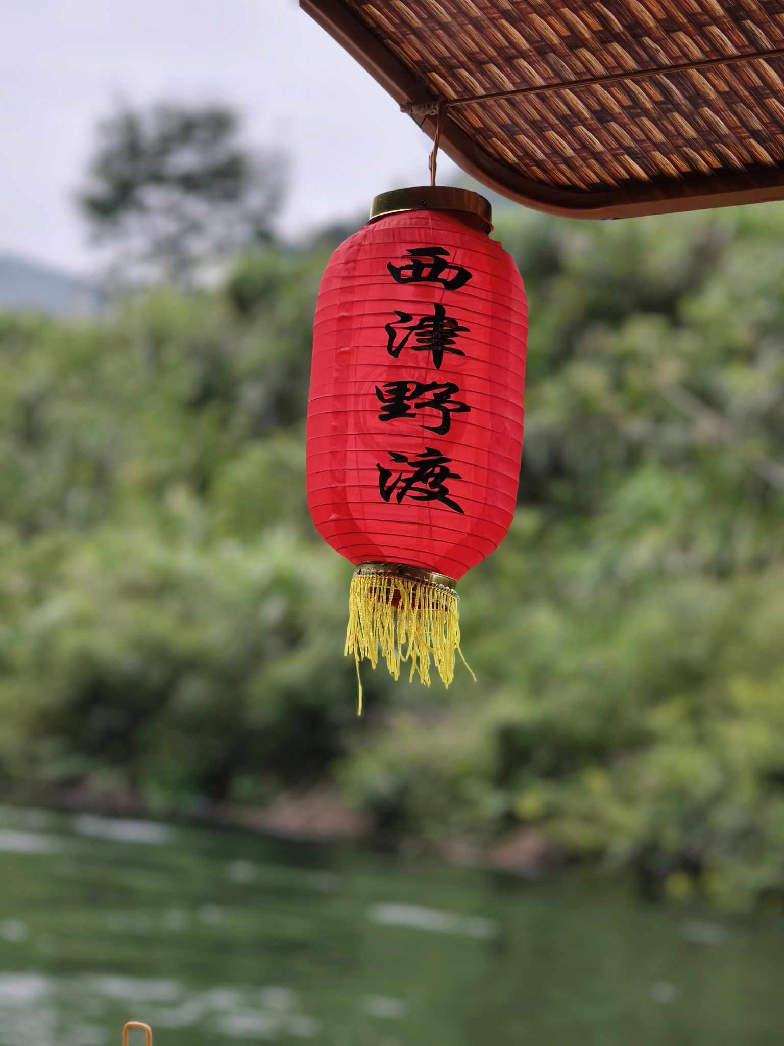 西津野渡竹筏生态观光景区旅行图片 3