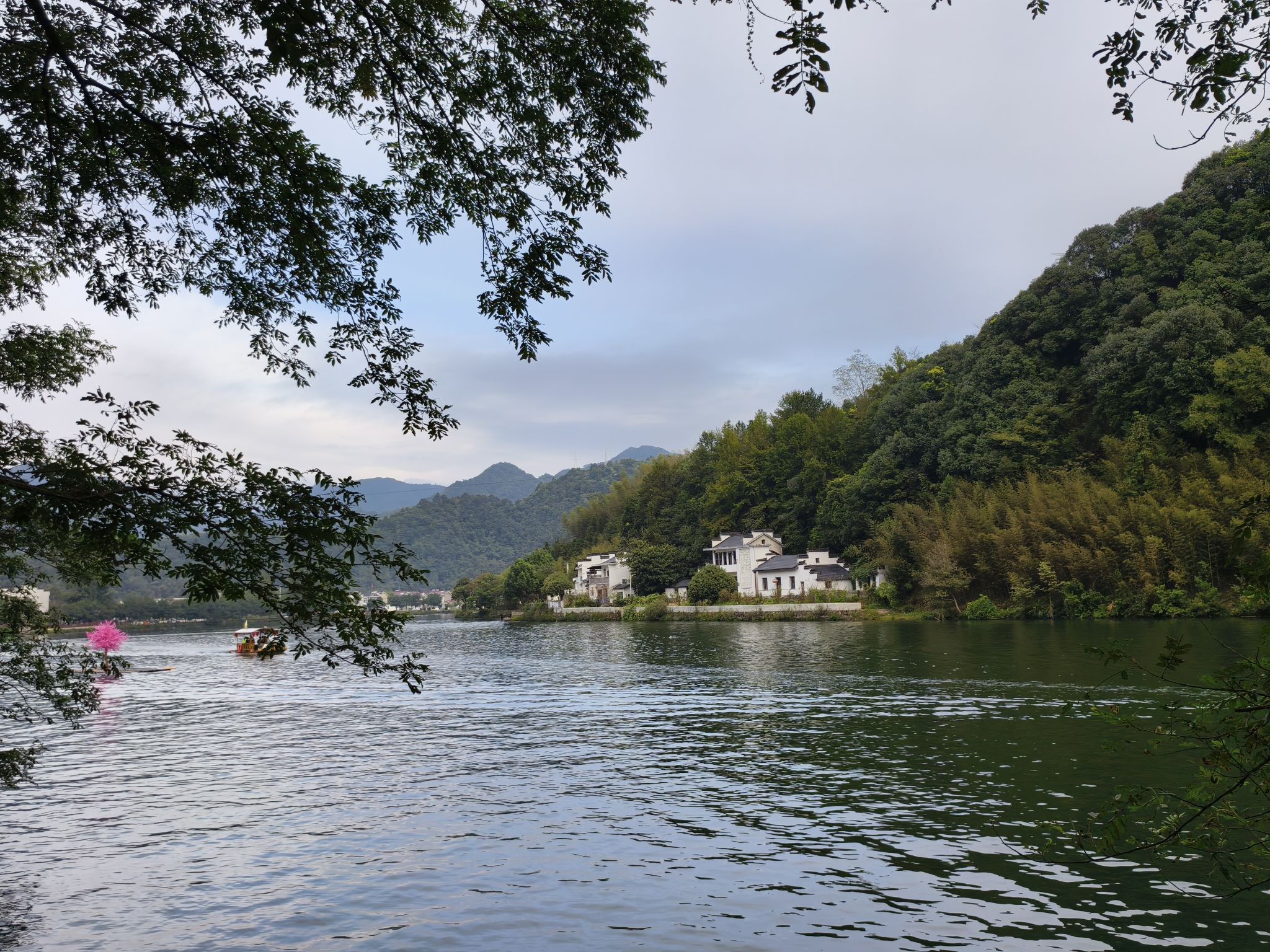 西津野渡竹筏生态观光景区旅行图片 2