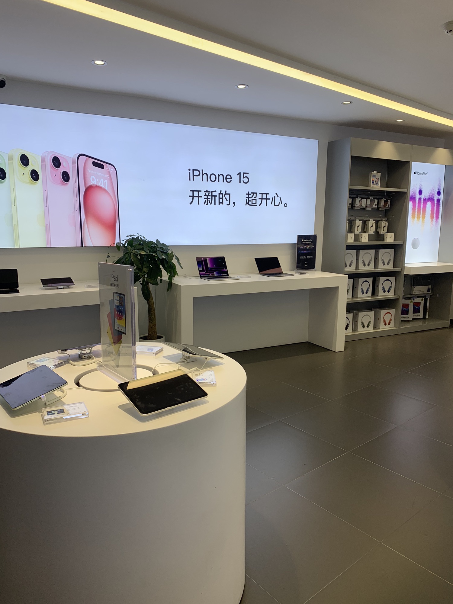 苹果零售店(金座商城店)