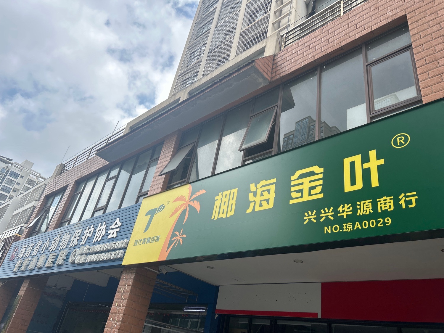 椰海金叶(兴兴华源商行)