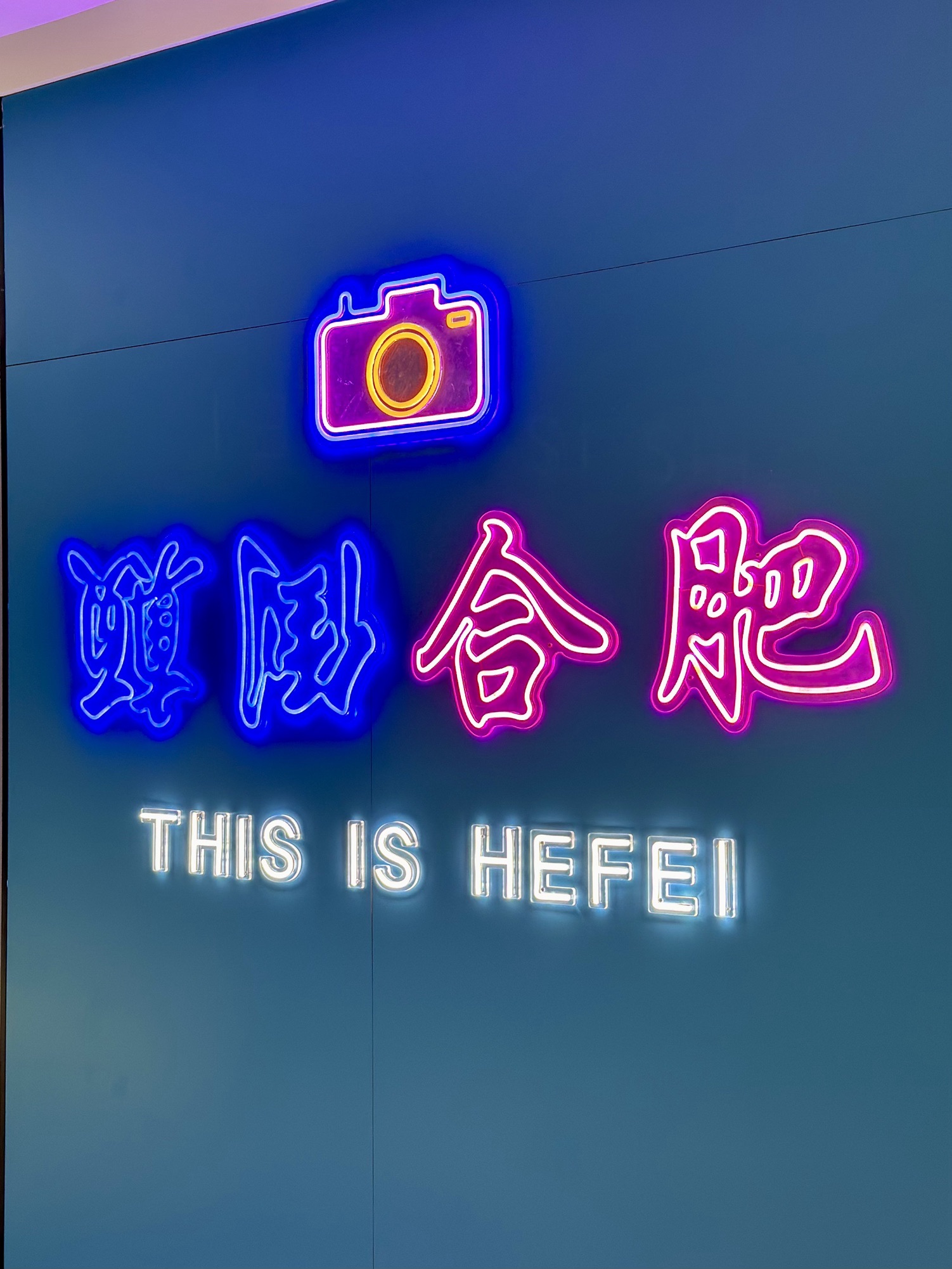 颠倒博物馆(合肥店)