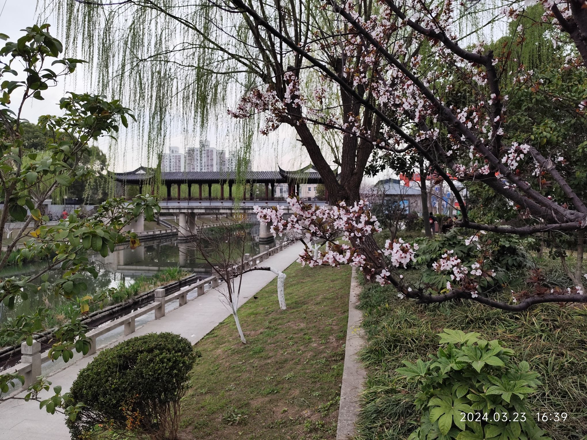 桃溪公园旅行图片 2