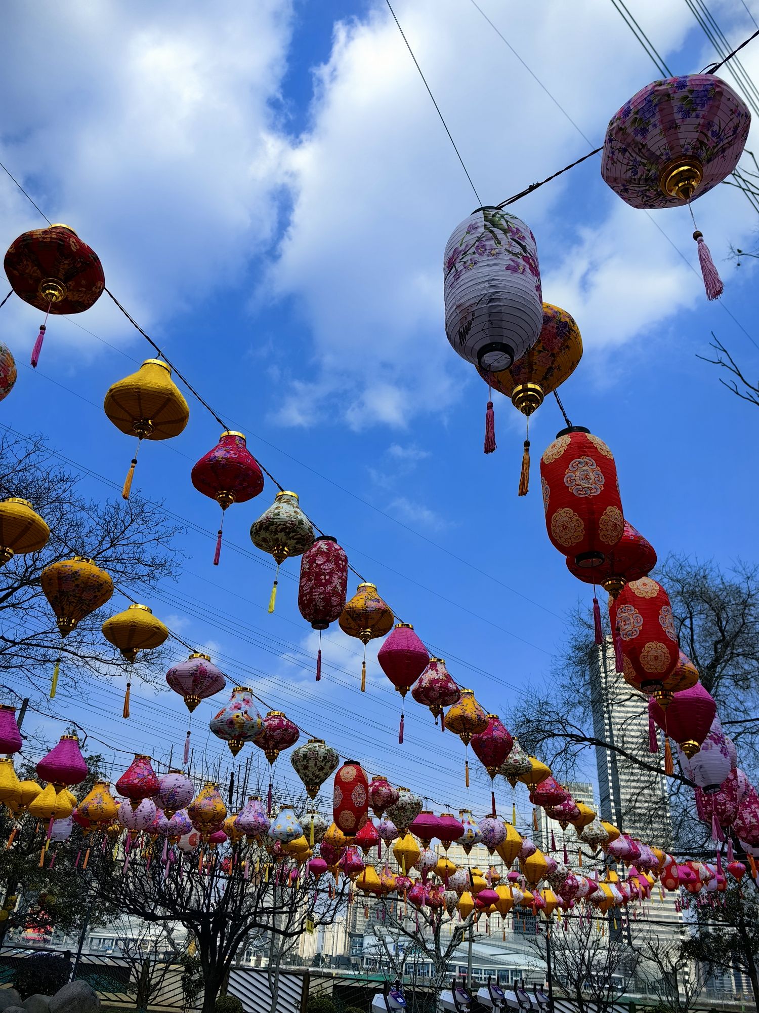 桃溪公园旅行图片 3