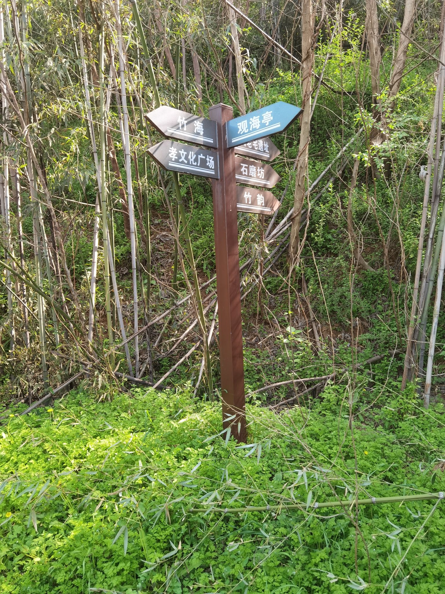 王祥河湿地文化园旅行图片 3