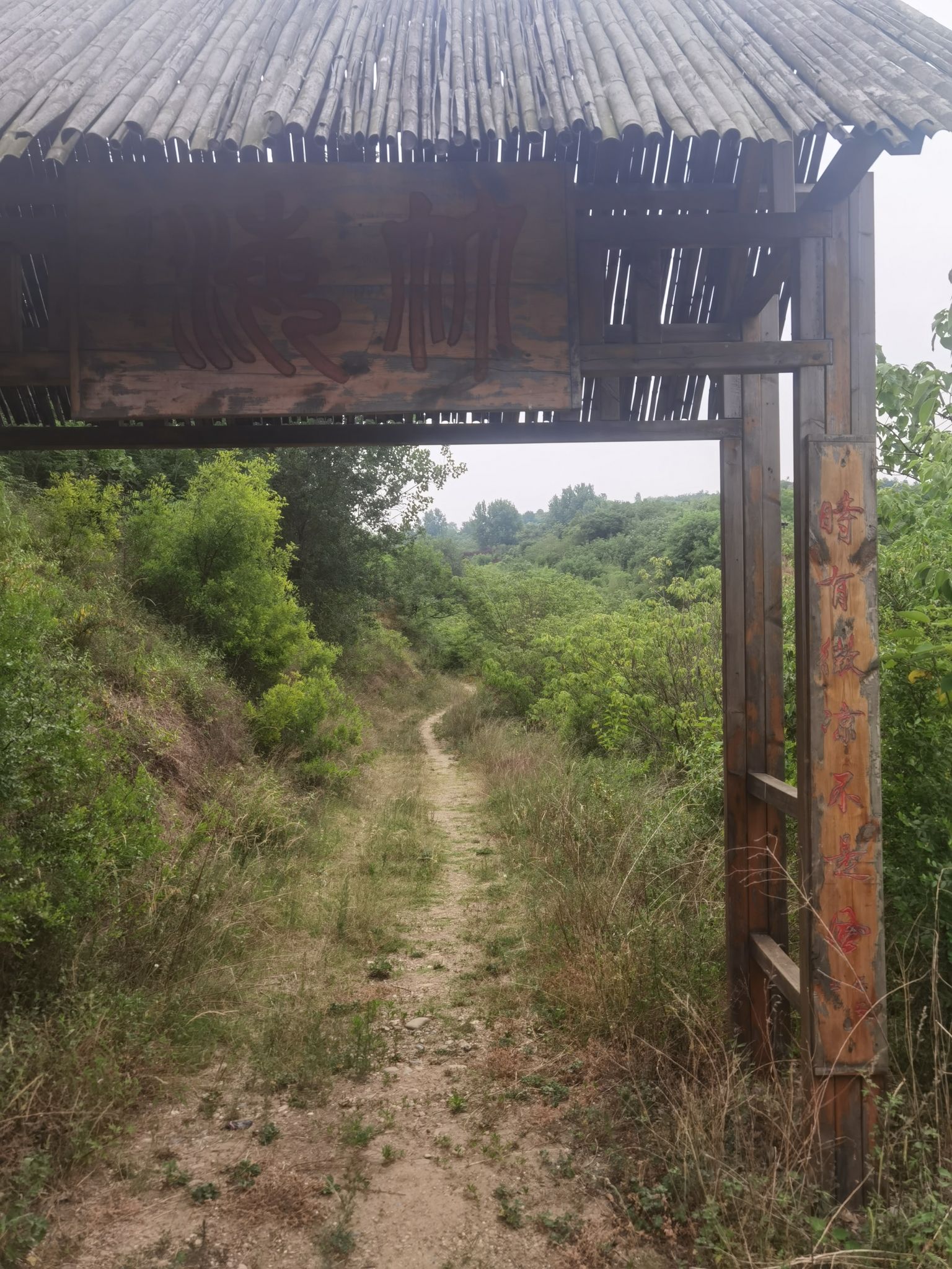 王祥河湿地文化园旅行图片 2