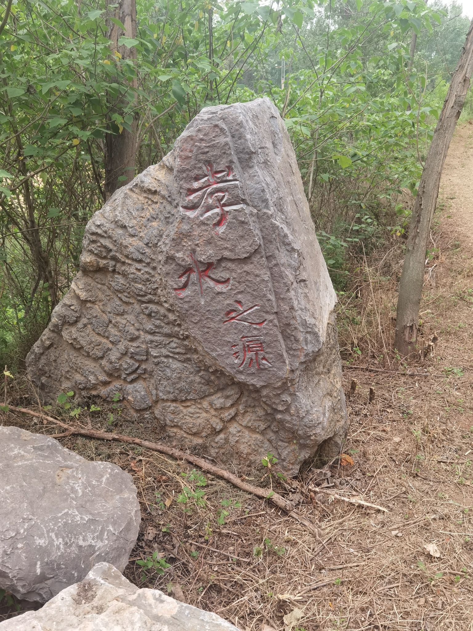 王祥河湿地文化园旅行图片 1