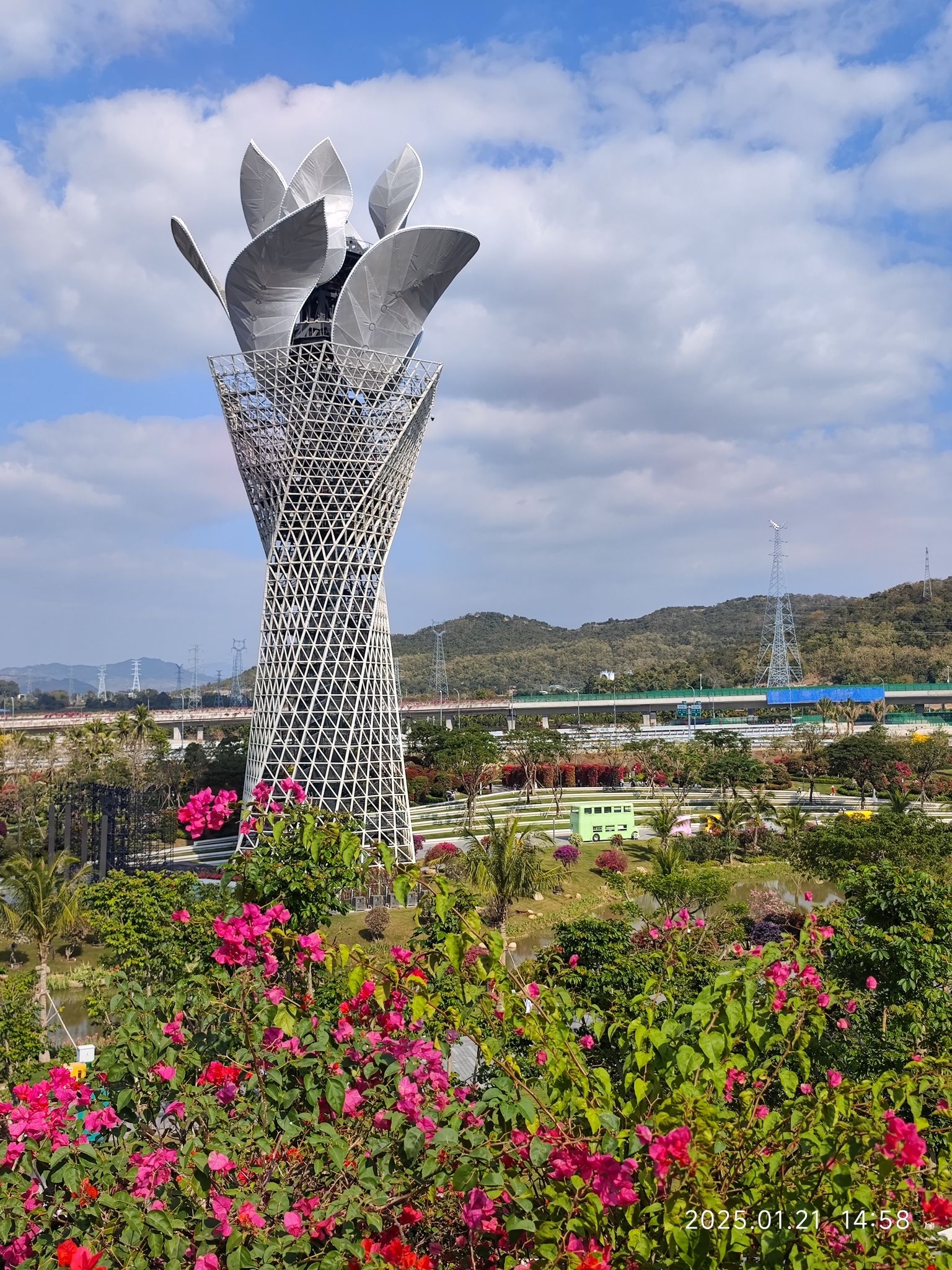 三角梅科博园旅行图片 2