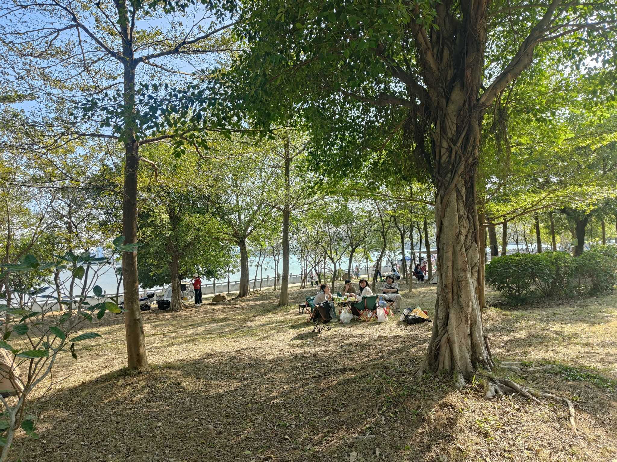 场地封面-荔湖公园-露营地