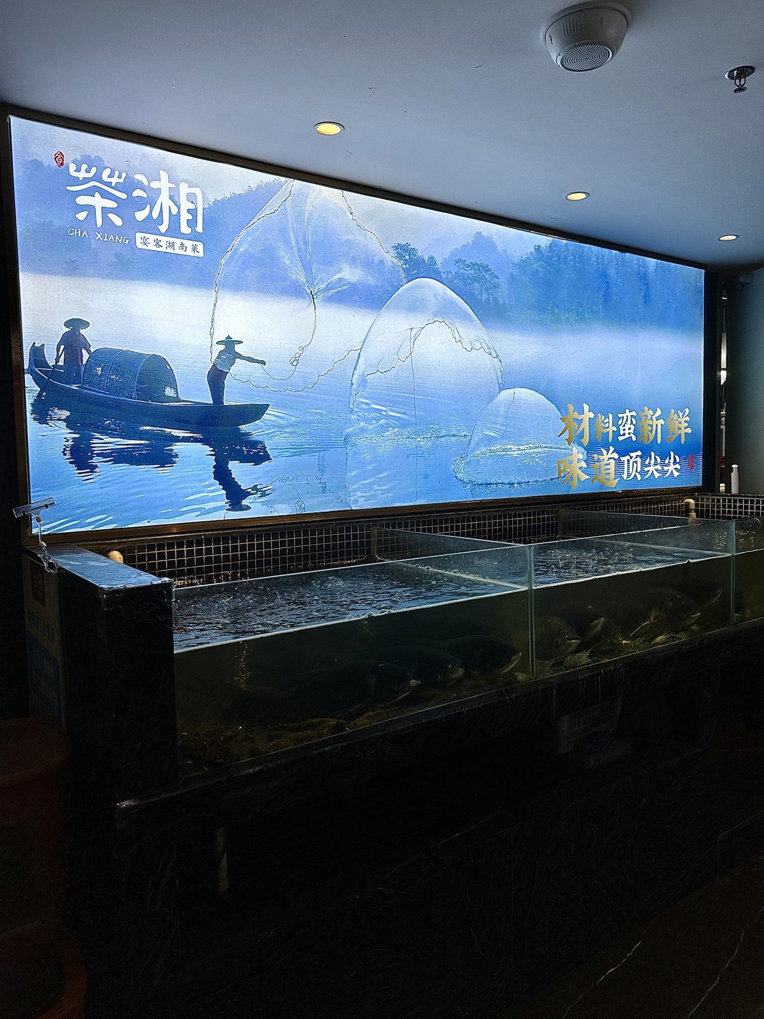 茶湘湖南菜餐饮店(海甸岛店)