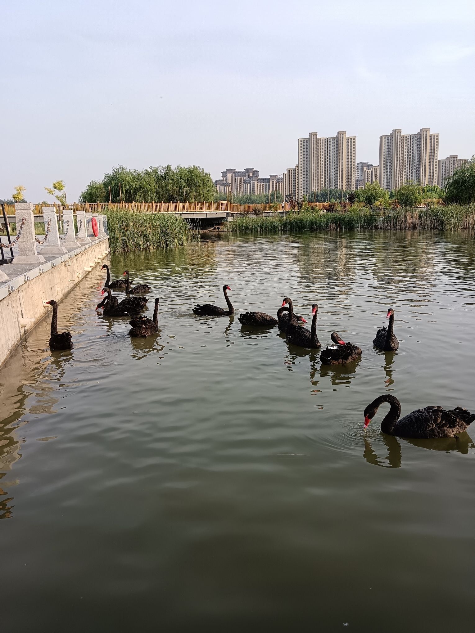 城南湿地旅行图片 2