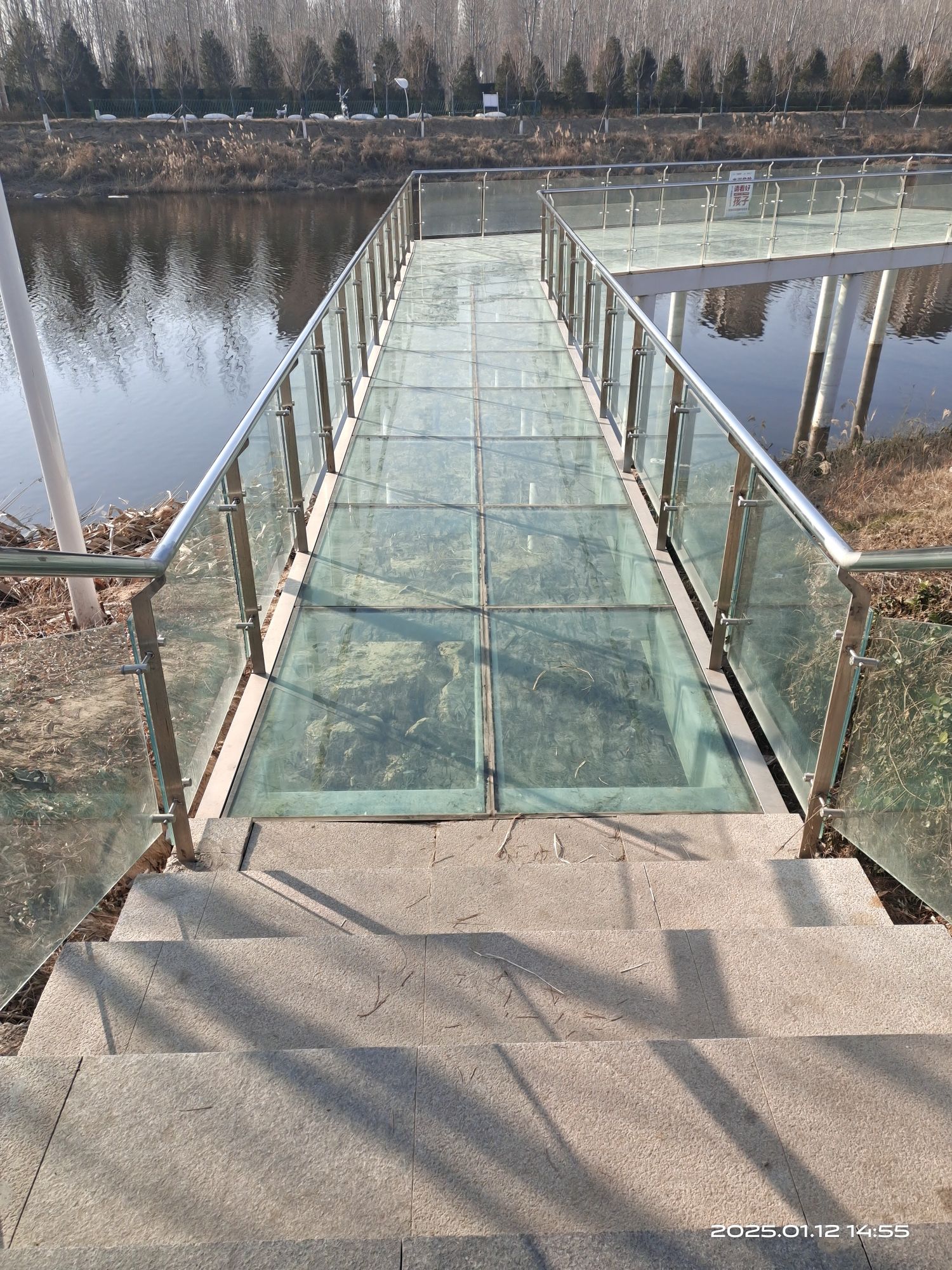 城南湿地旅行图片 3