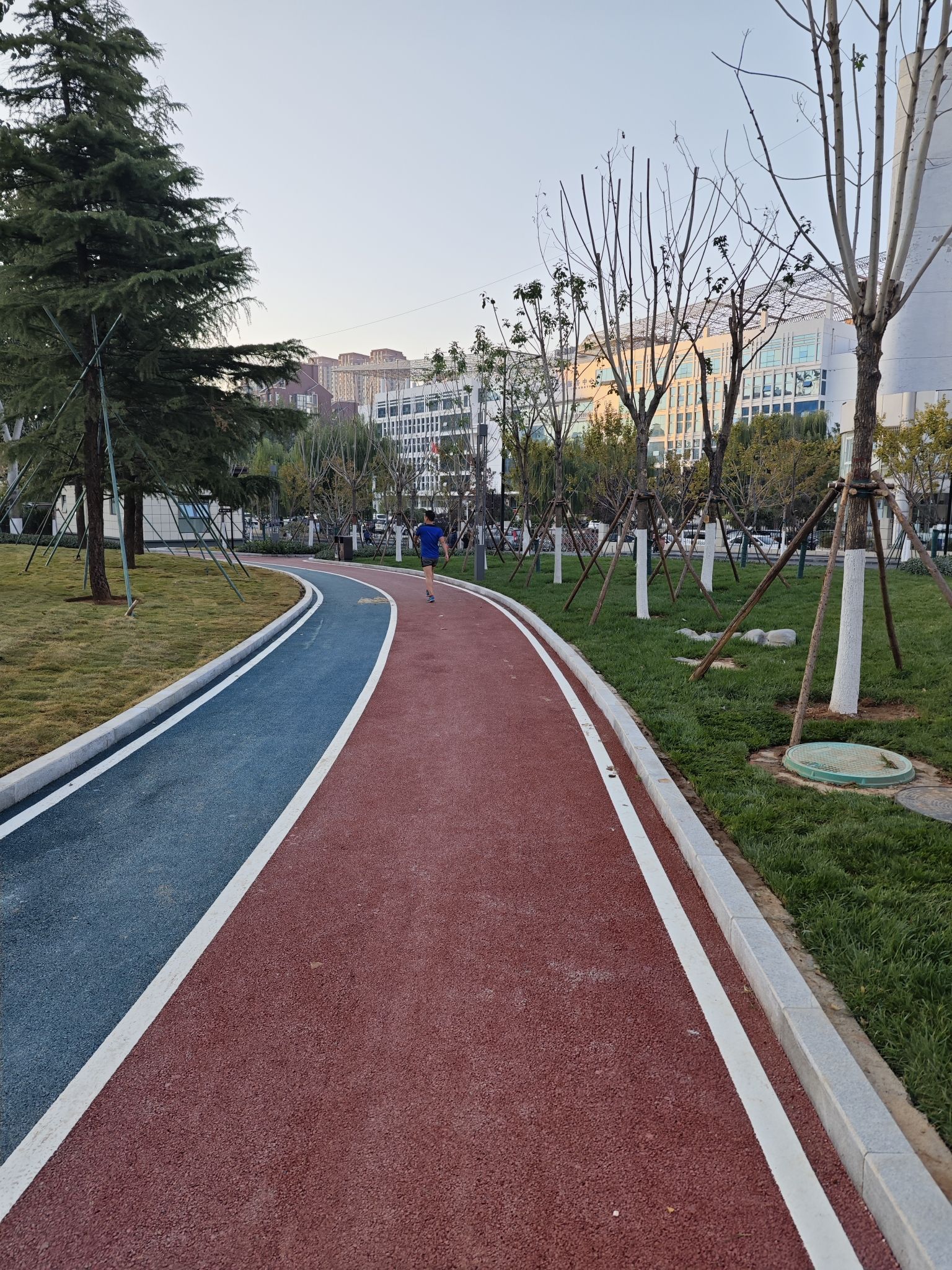 正丰路公园旅行图片 3