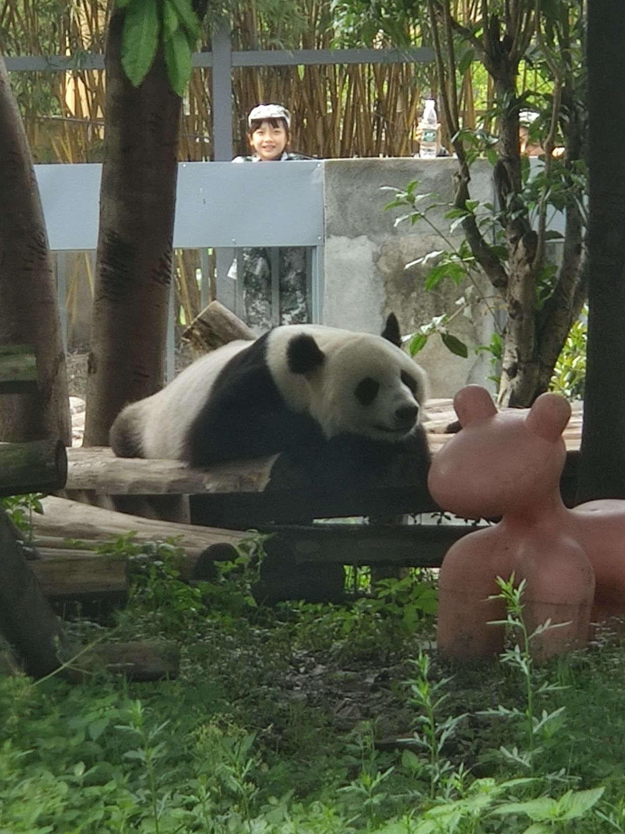 国际竹艺城景区熊猫馆旅行图片 3