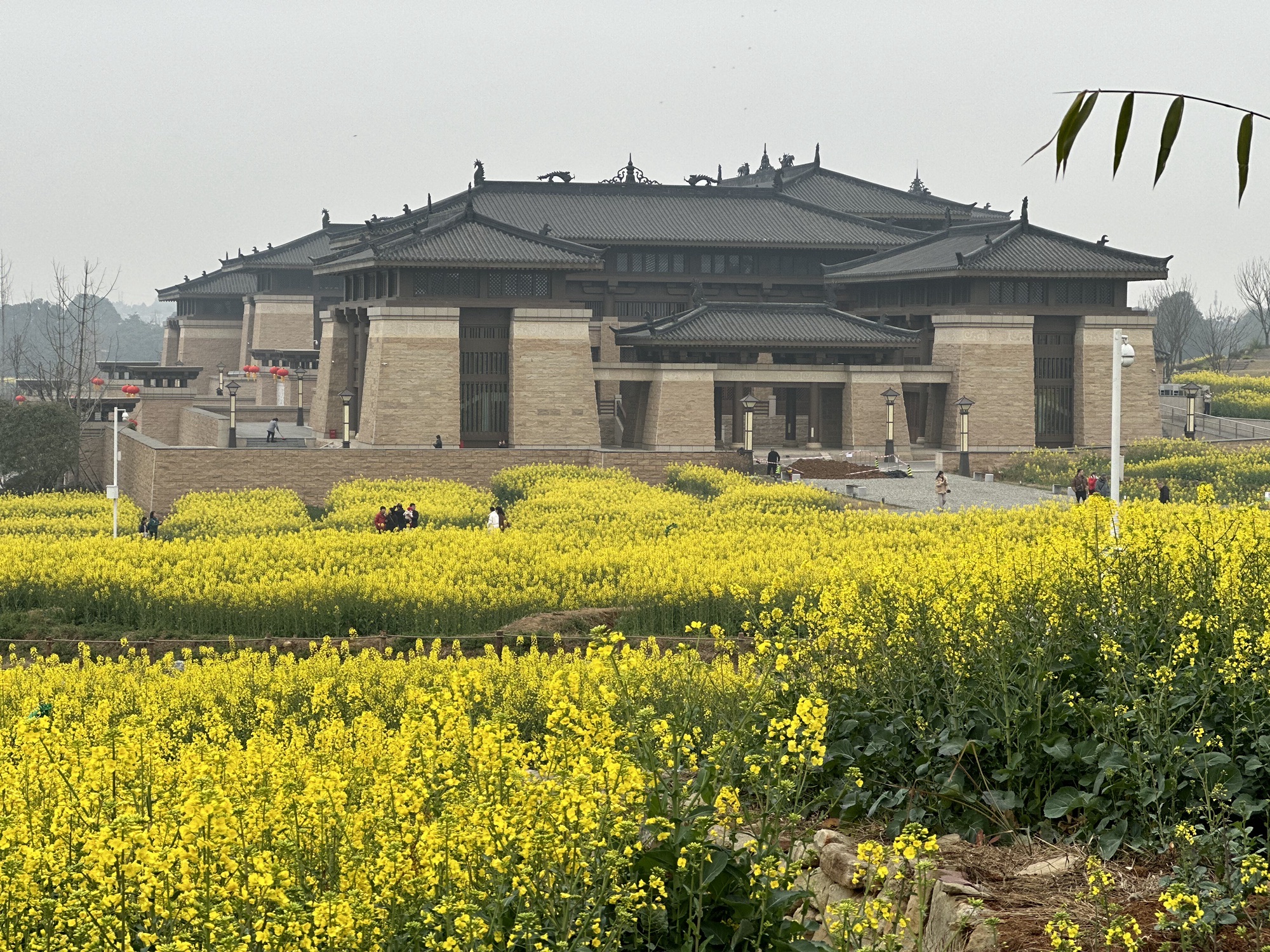 瞿上田园旅行图片 2