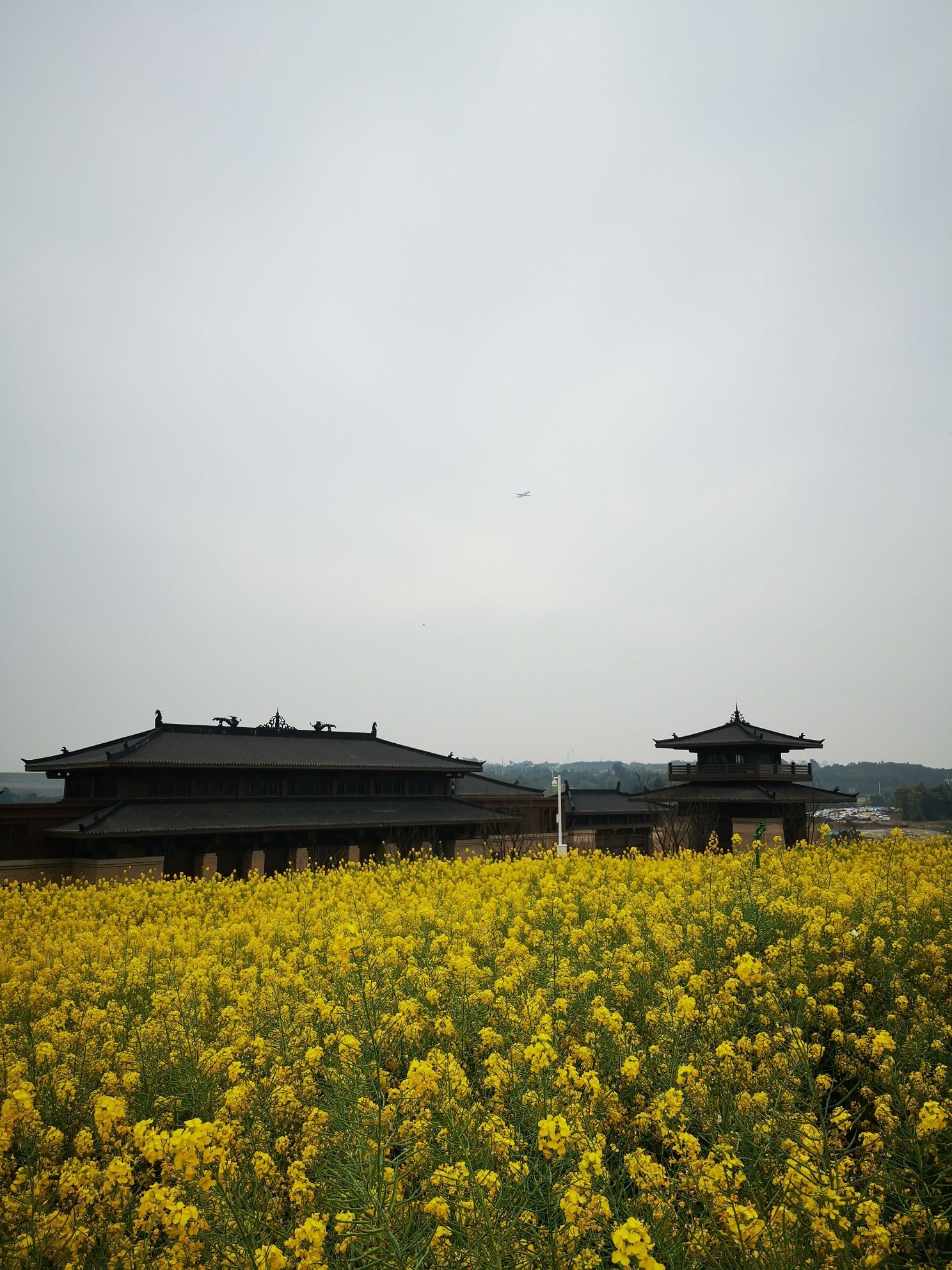 瞿上田园旅行图片 3