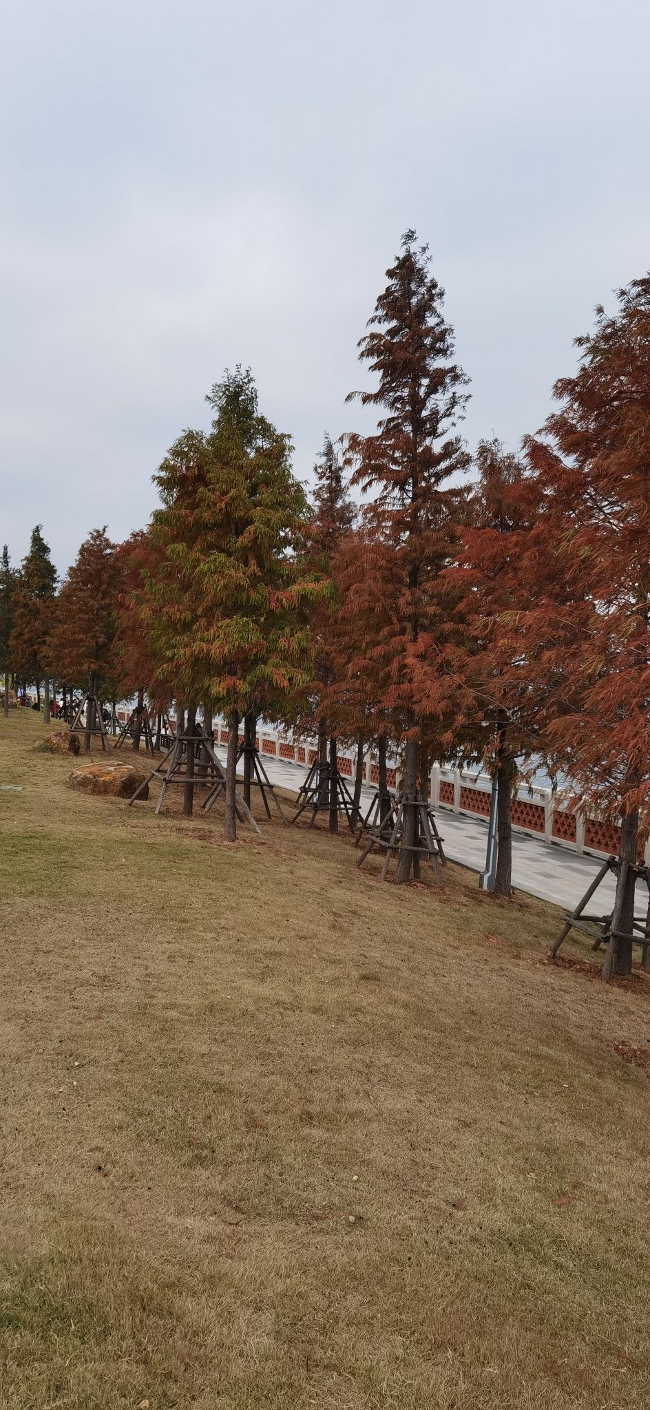 南岸滨海公园旅行图片 3