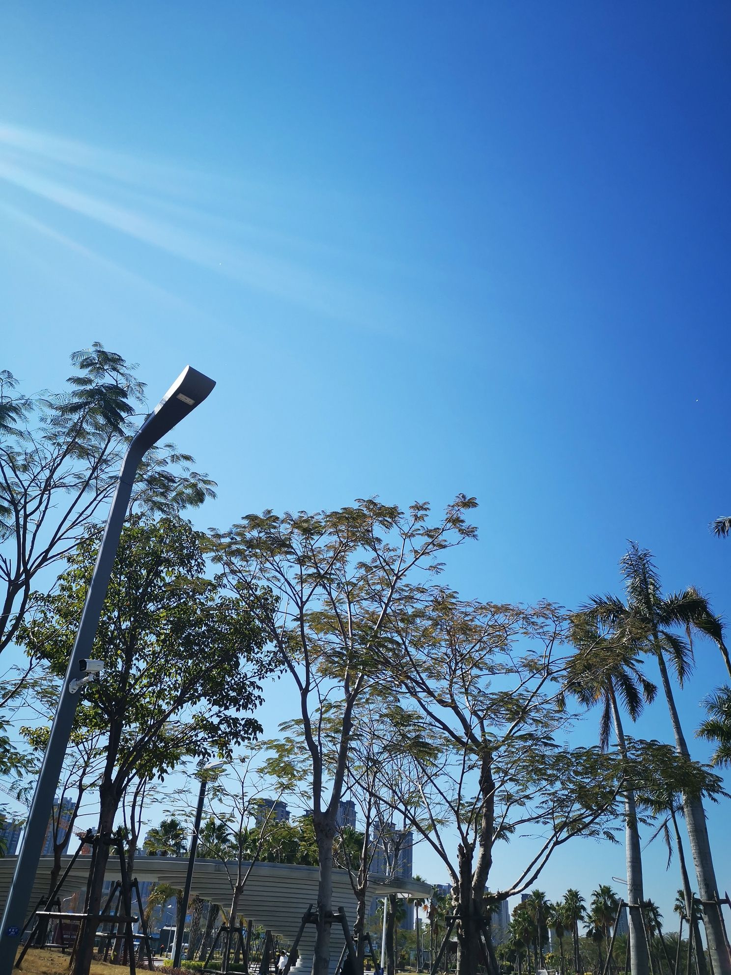 南岸滨海公园旅行图片 3