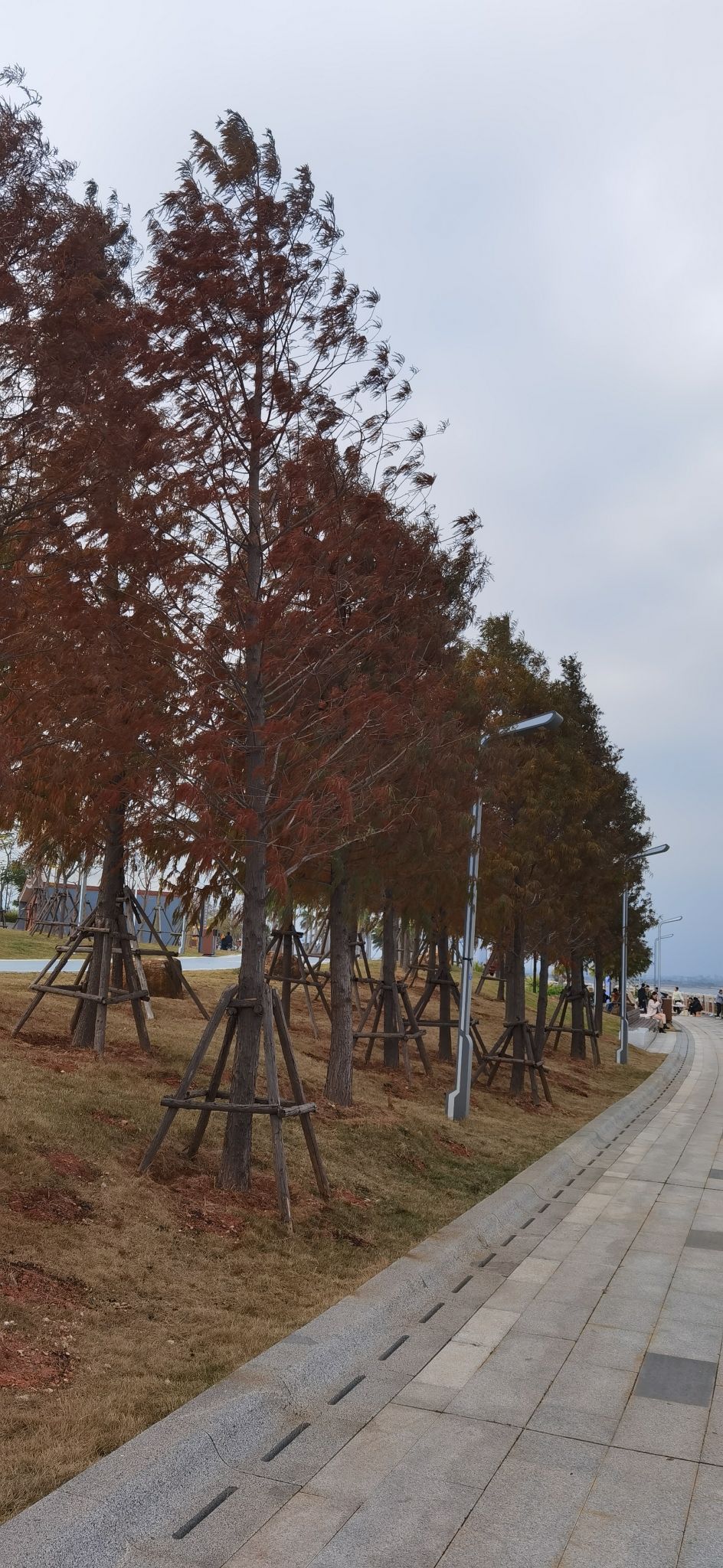南岸滨海公园旅行图片 2