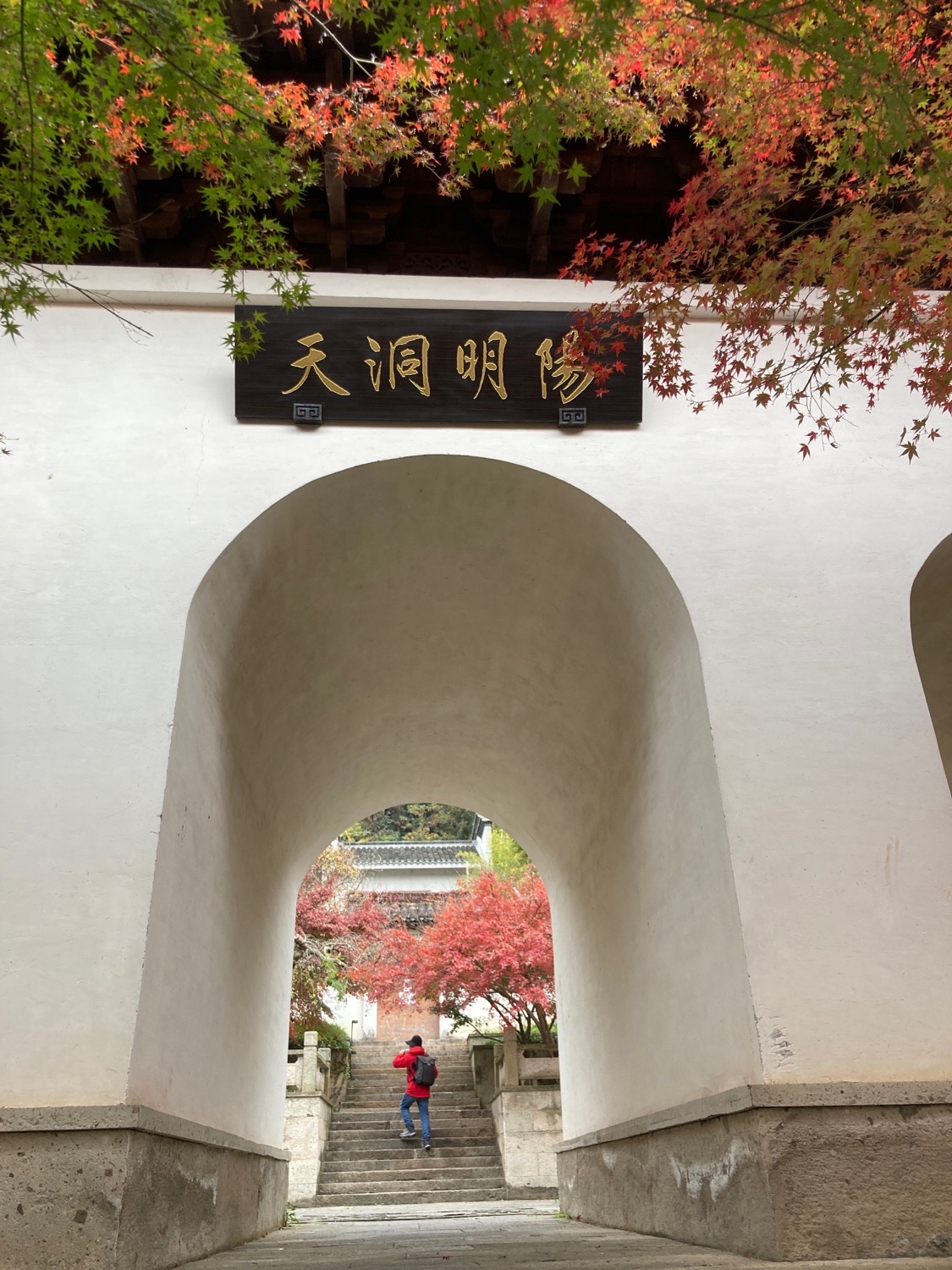 阳明洞天风景区旅行图片 2