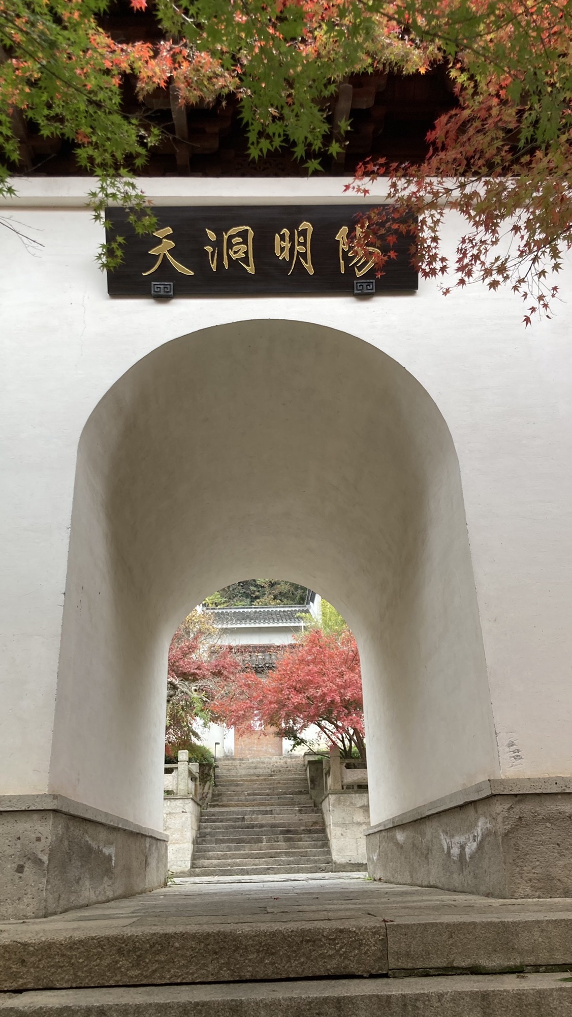 阳明洞天风景区旅行图片 3