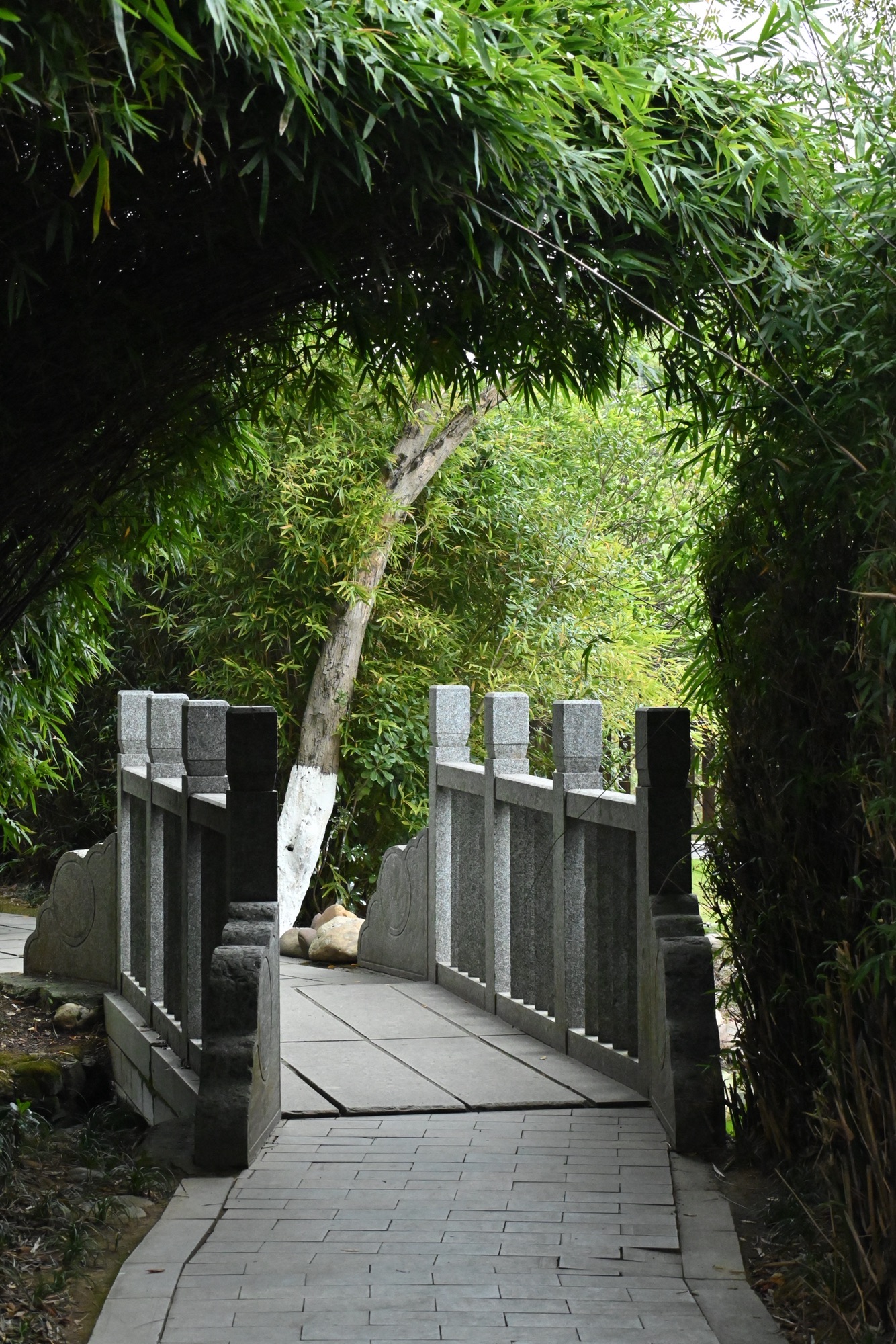 清廉园旅行图片 3