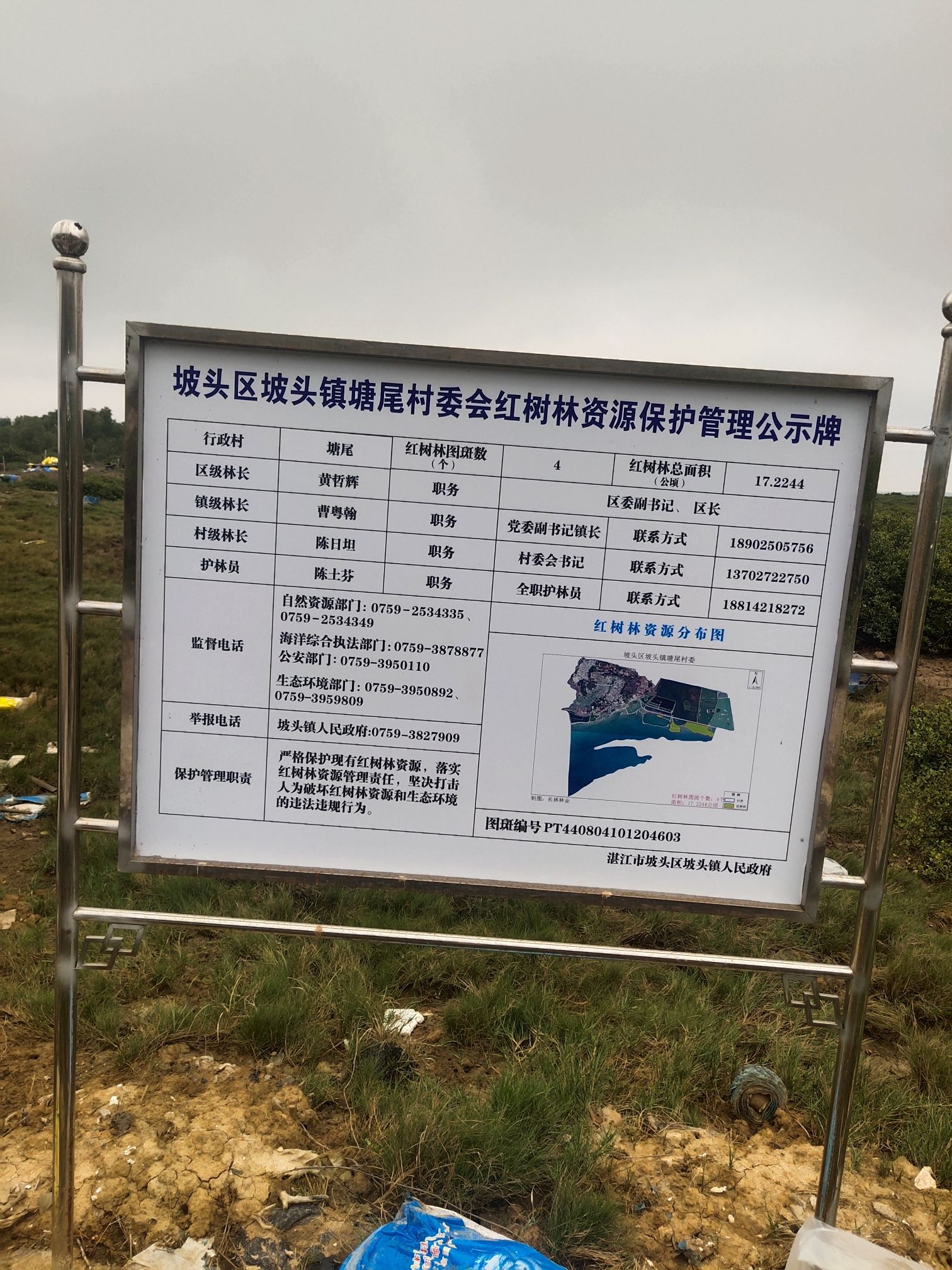 塘尾红树林旅行图片 1