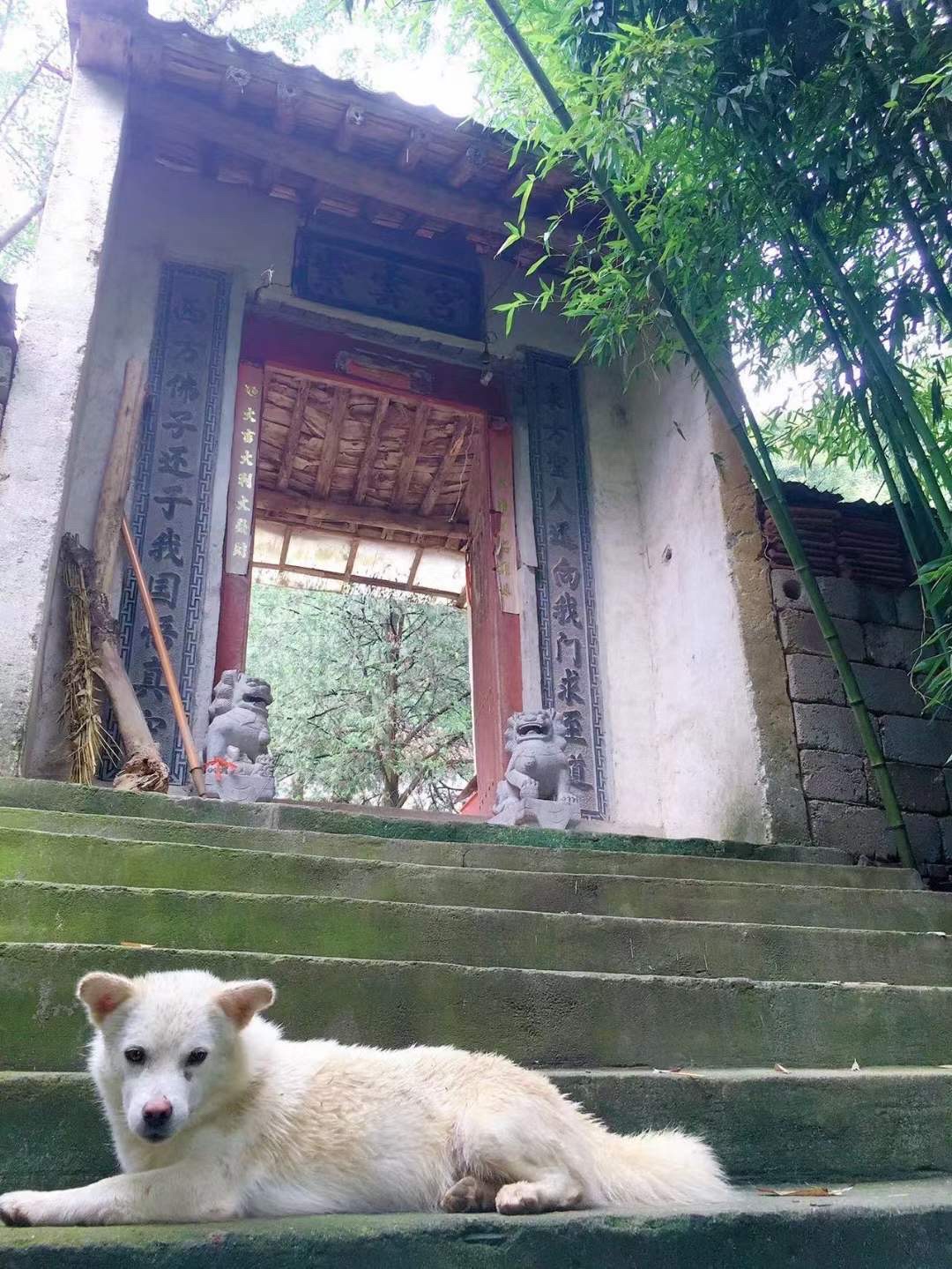 紫云宫旅行图片 1