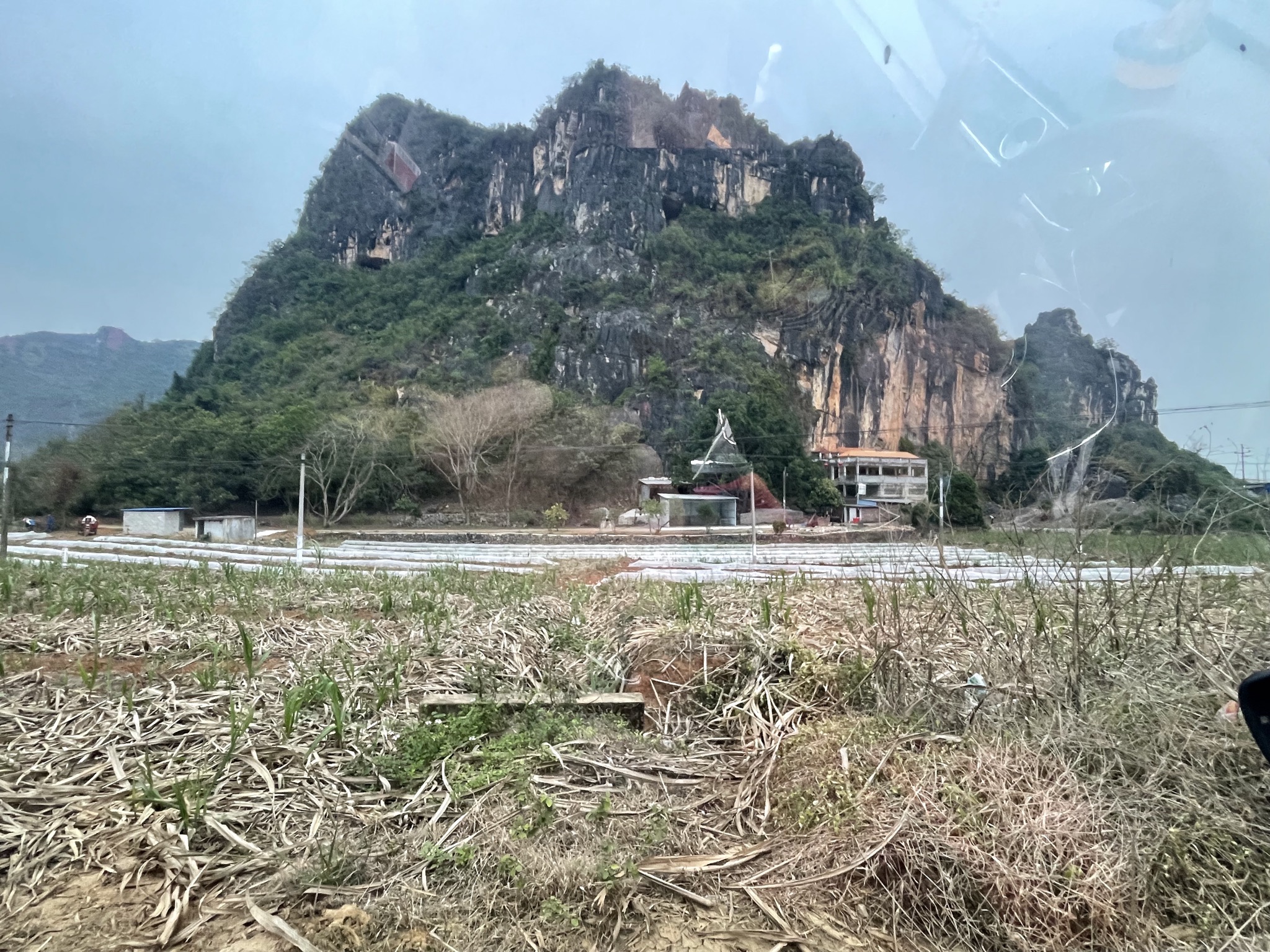 金猫银老鼠洞佛堂旅行图片 1