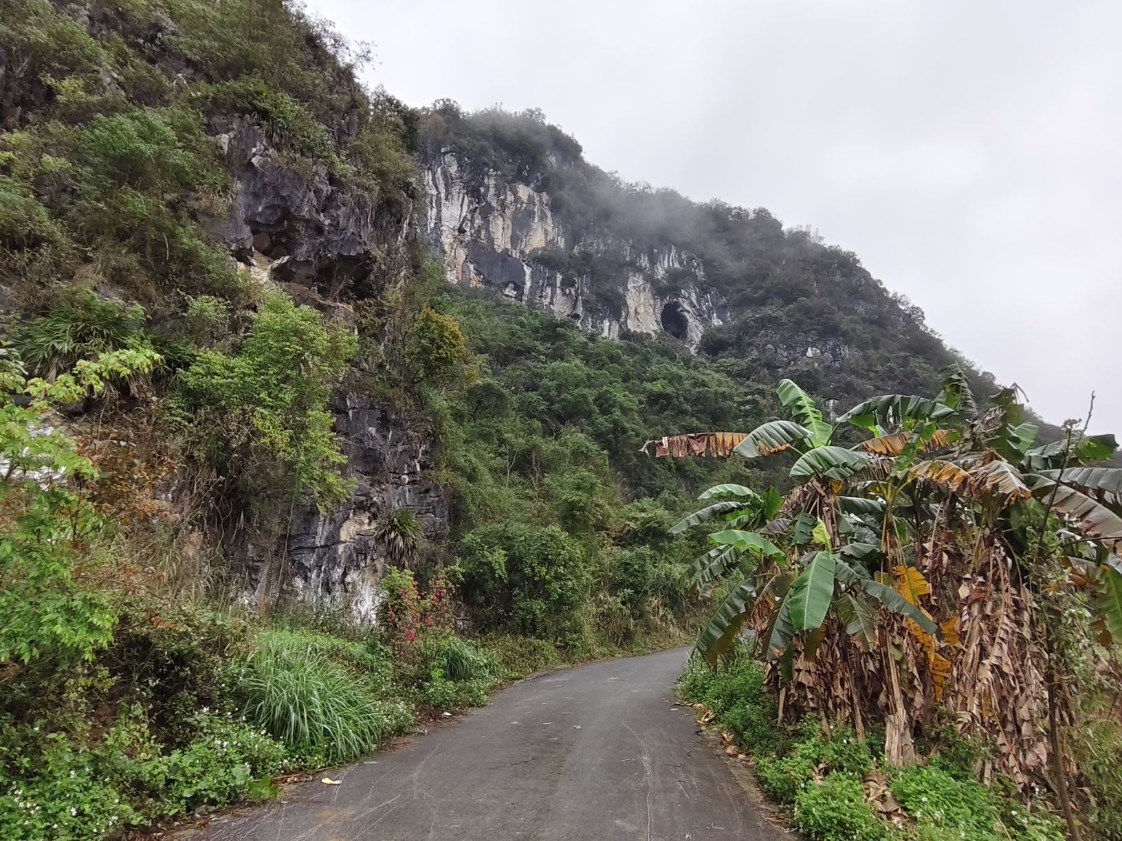 都康田园景区(暂停开放)旅行图片 3
