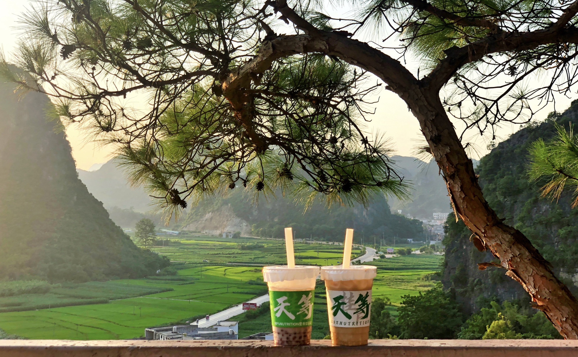都康田园景区(暂停开放)旅行图片 2