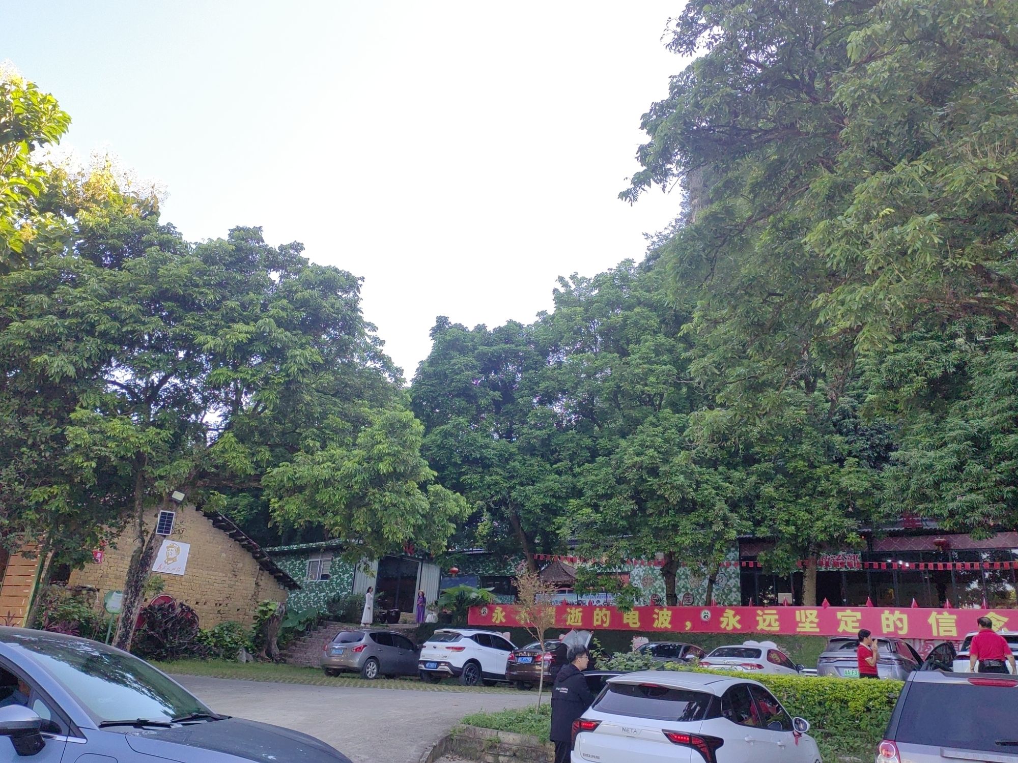 都康田园景区(暂停开放)旅行图片 2